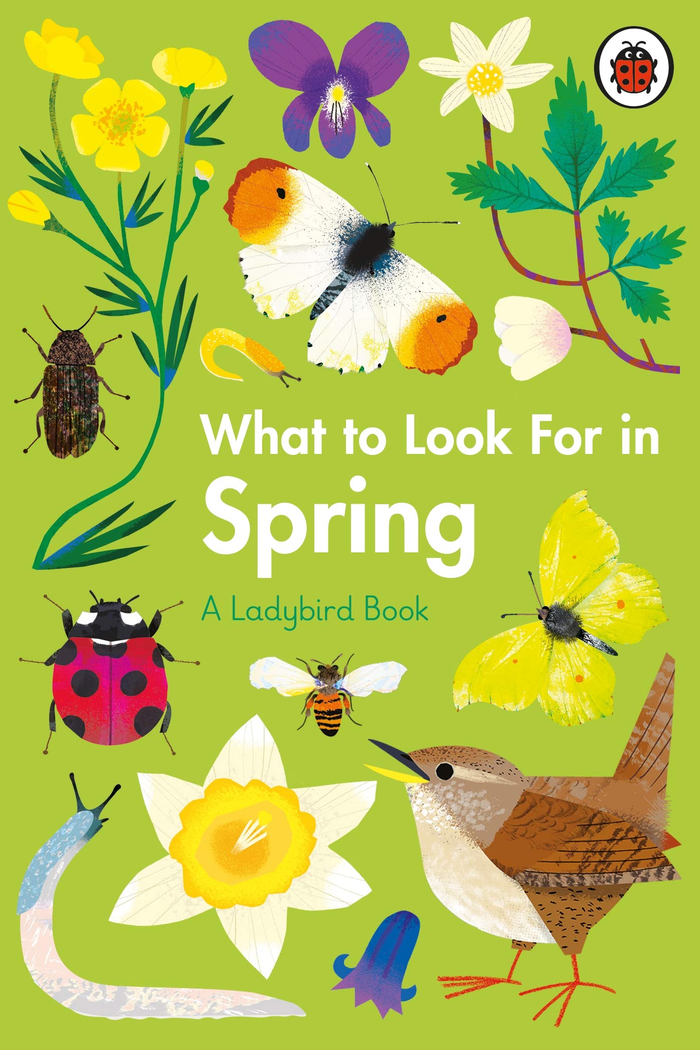 What to Look For in Spring (A Ladybird Book) Non-fiction