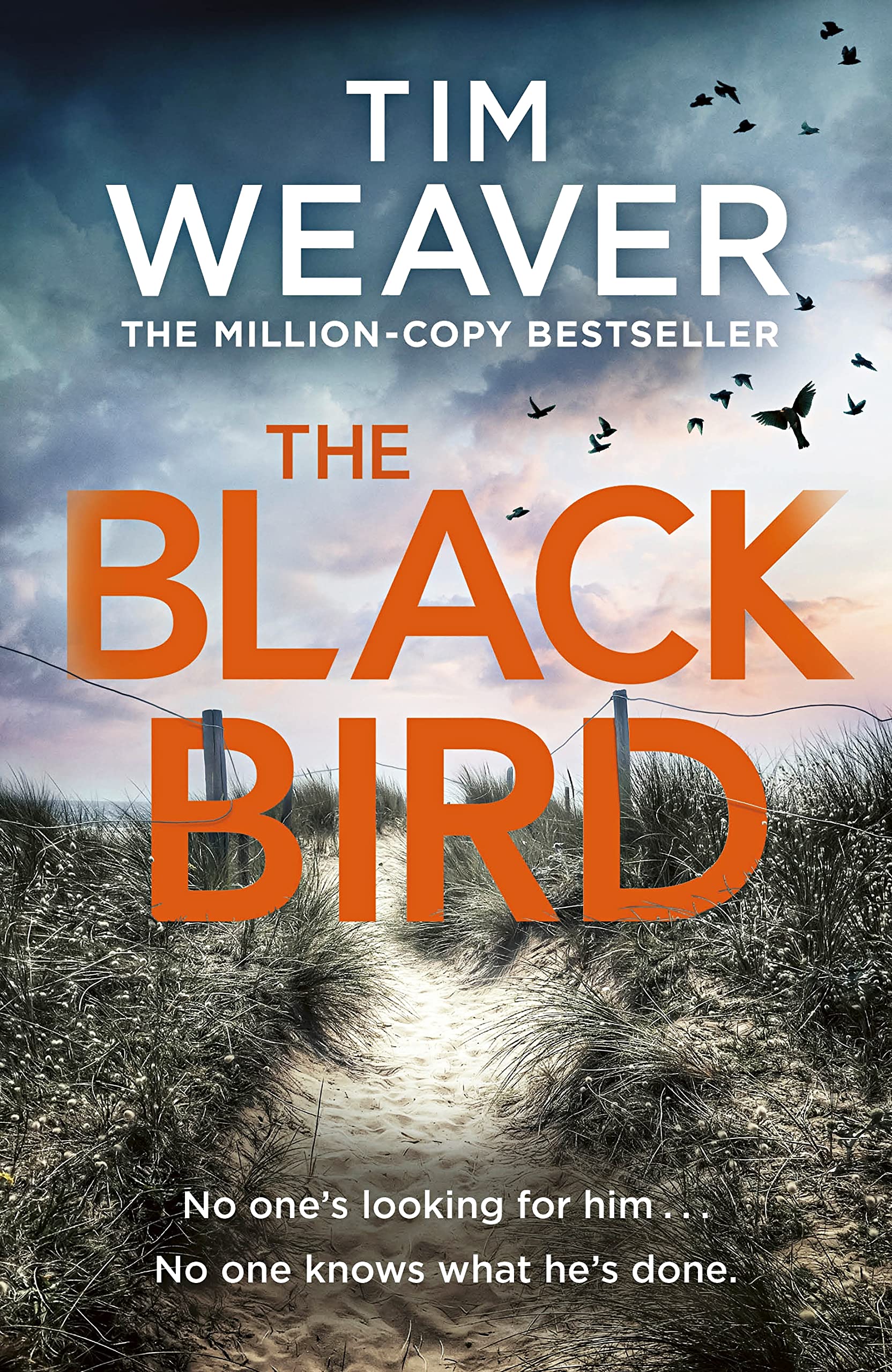 The Blackbird: The heart-pounding Sunday Times bestseller and Richard & Judy book club pick (David Raker Missing Persons, 11) Contemporary literature