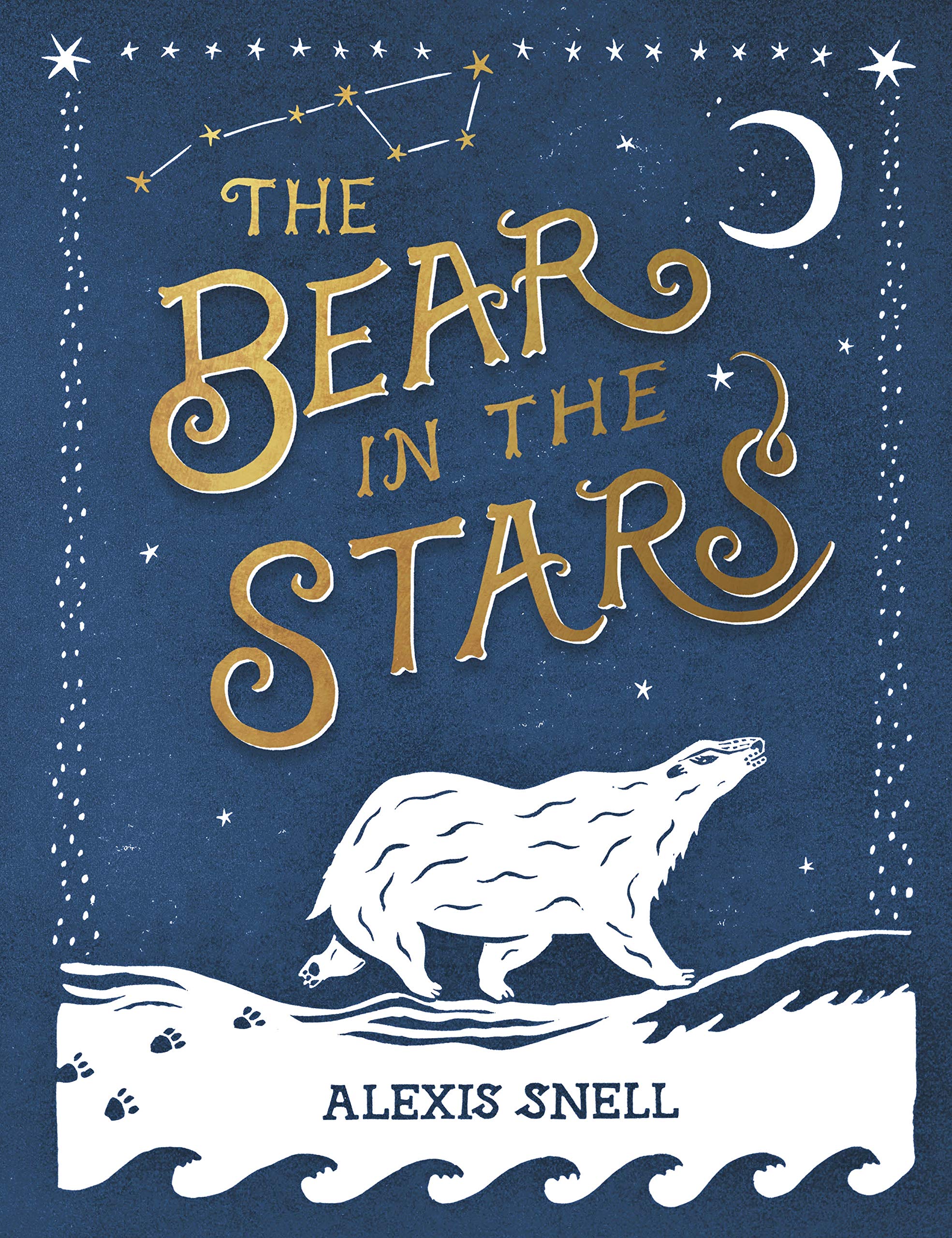 The Bear in the Stars: Bilderbuch Business & Technology