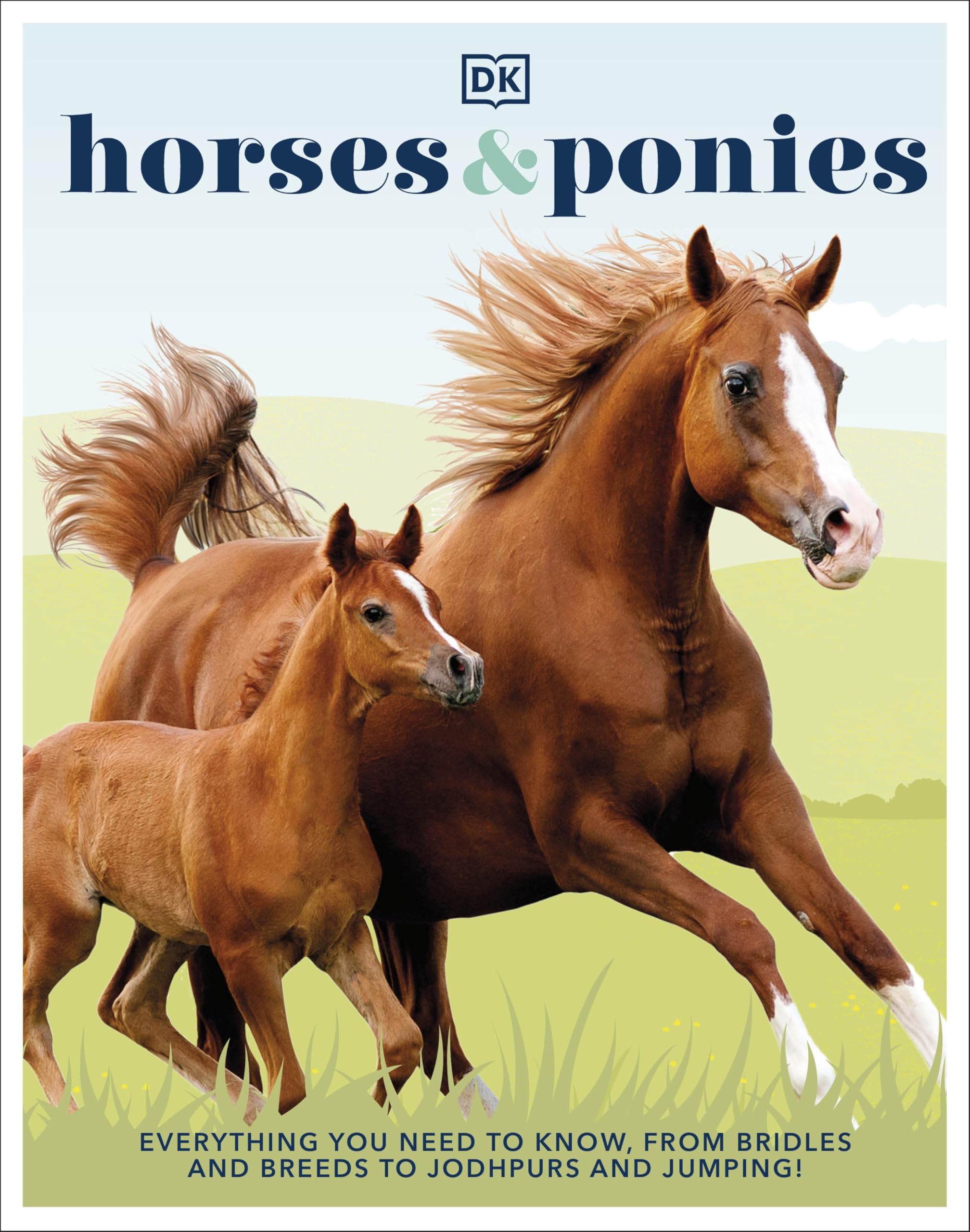 Horses & Ponies Leisure & Fun Books