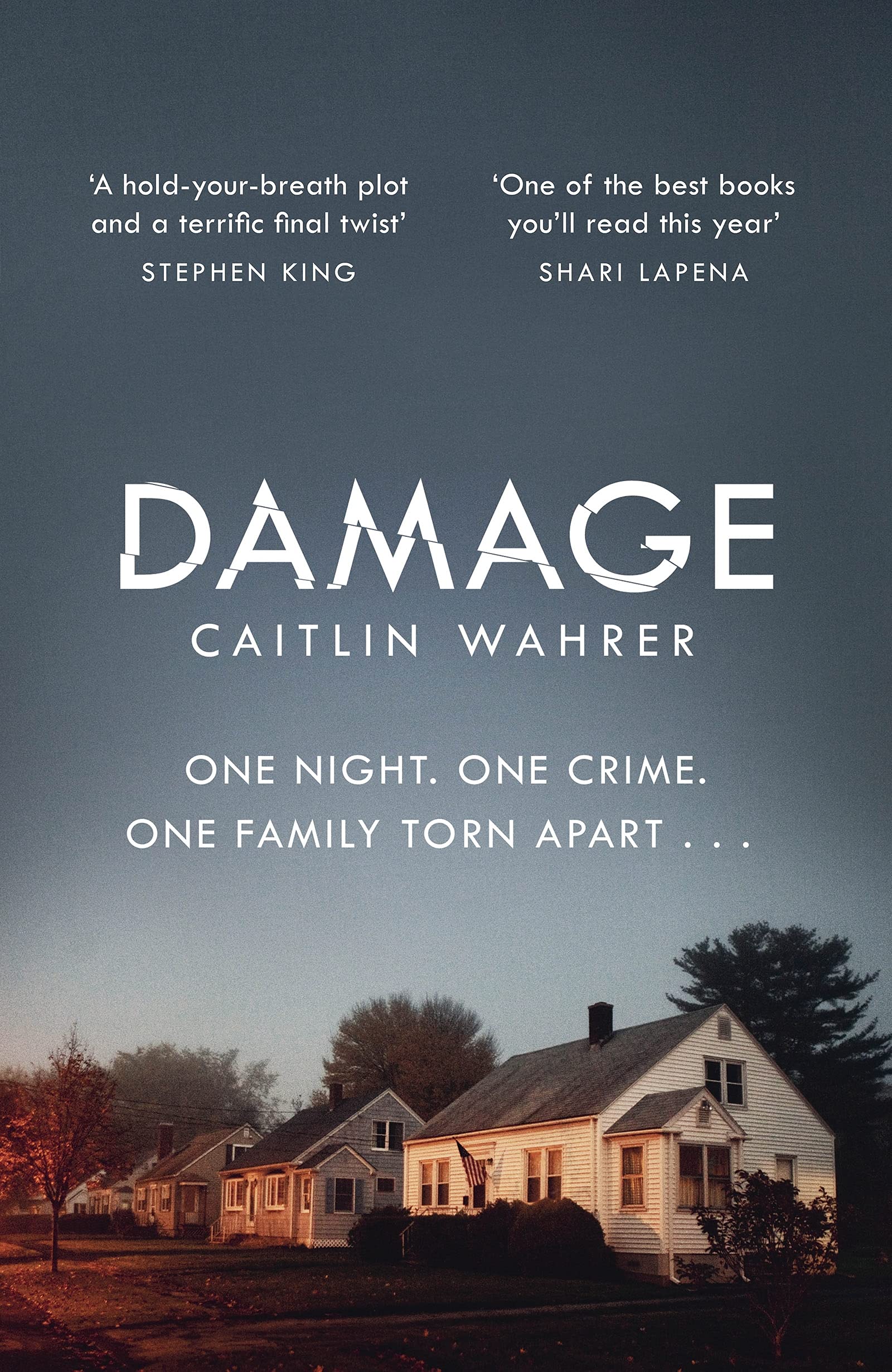 Damage: An unputdownable and emotionally gripping debut with a twist you won’t see coming Contemporary literature