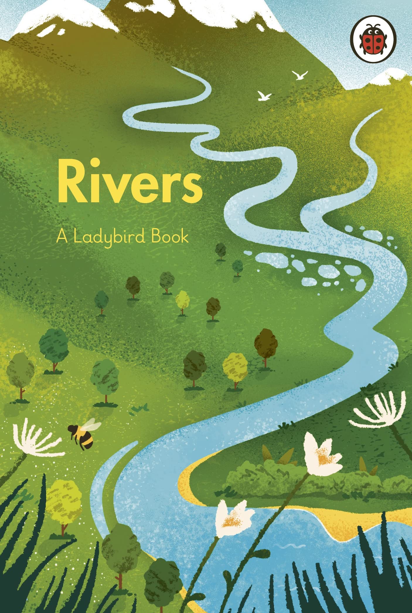 Product Image: A Ladybird Book: Rivers