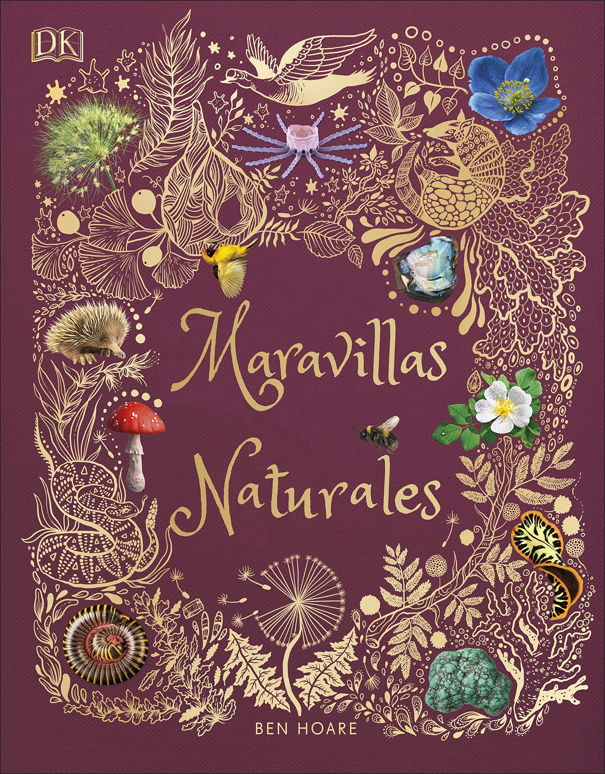 Maravillas naturales (Planeta curioso) (DK Infantil) Non-fiction