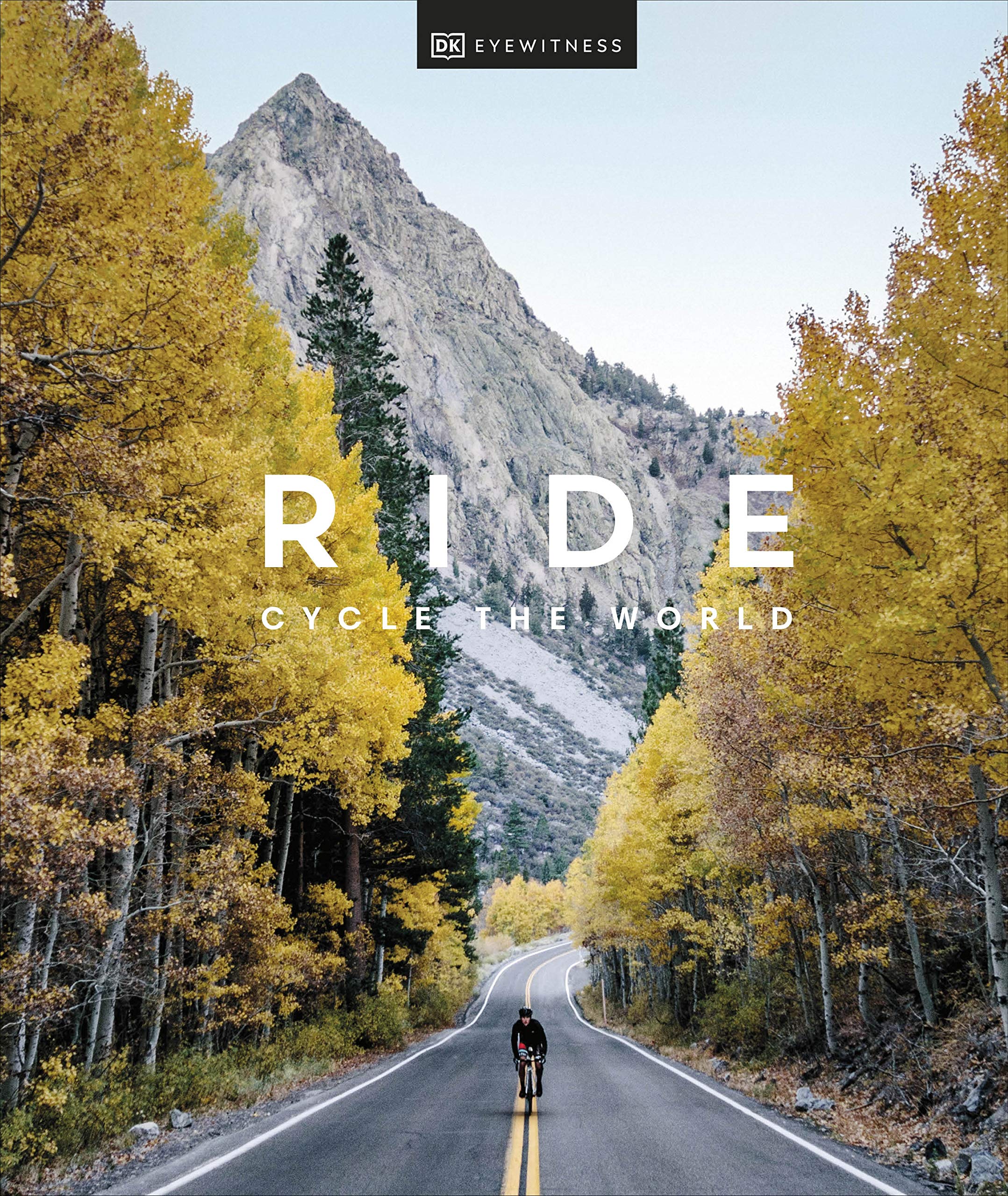 Ride Contemporary literature