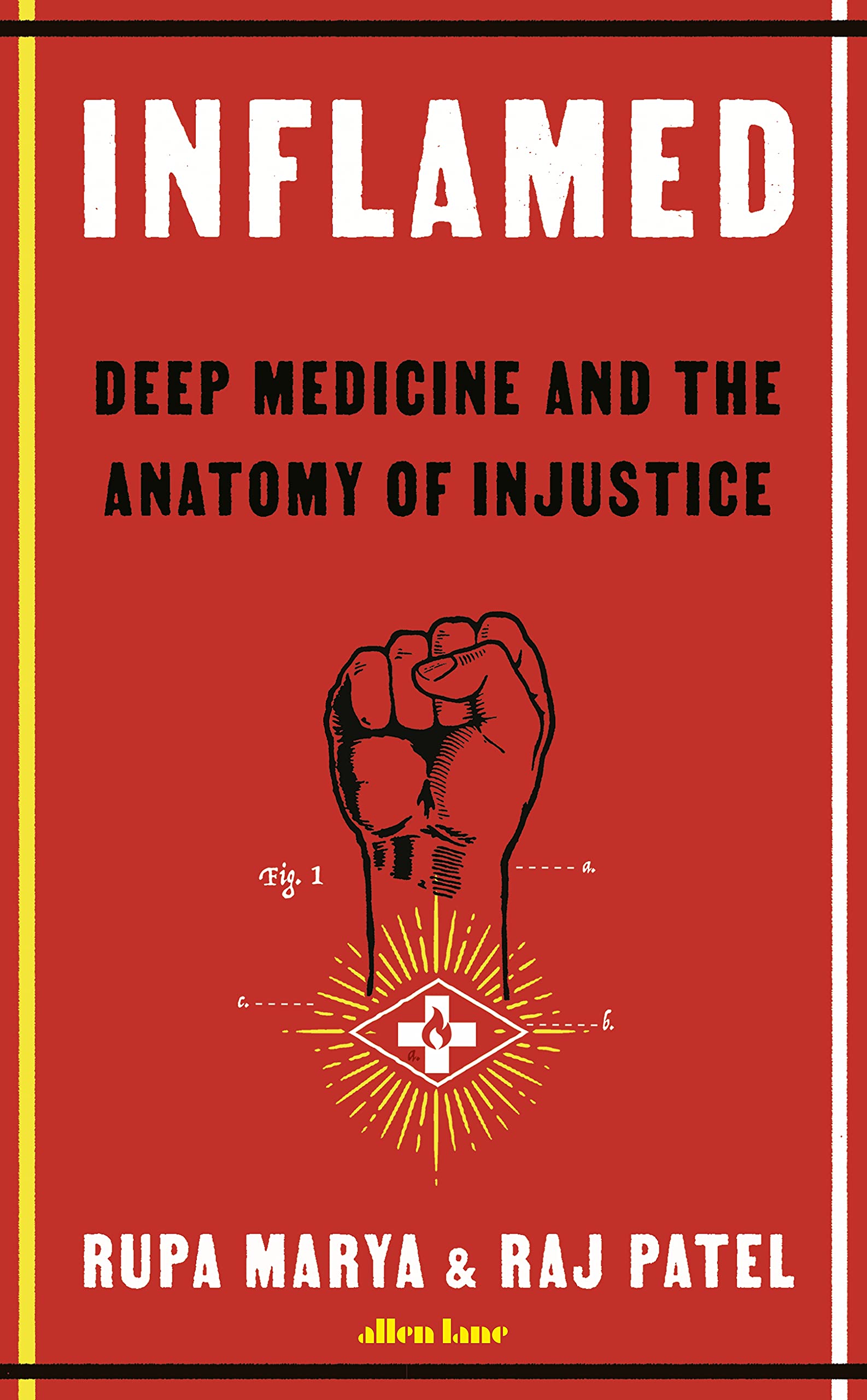 Inflamed: Deep Medicine and the Anatomy of Injustice Medicine