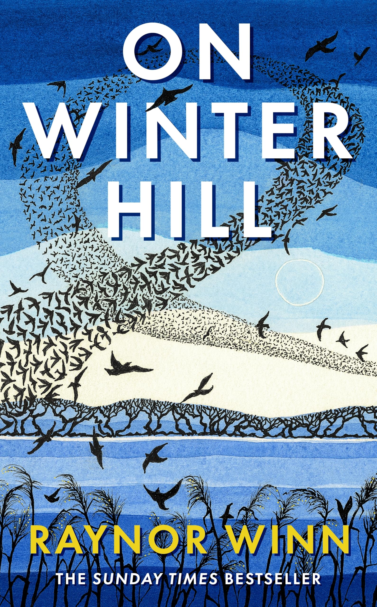 On Winter Hill: From the Multi-Million-Copy Bestselling Author of The Salt Path (Raynor Winn, 4) Contemporary literature
