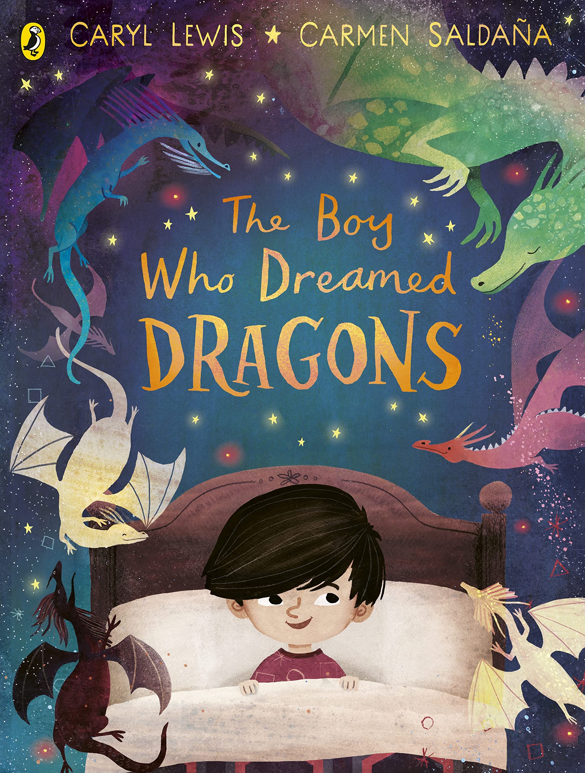 Product Image: The Boy Who Dreamed Dragons