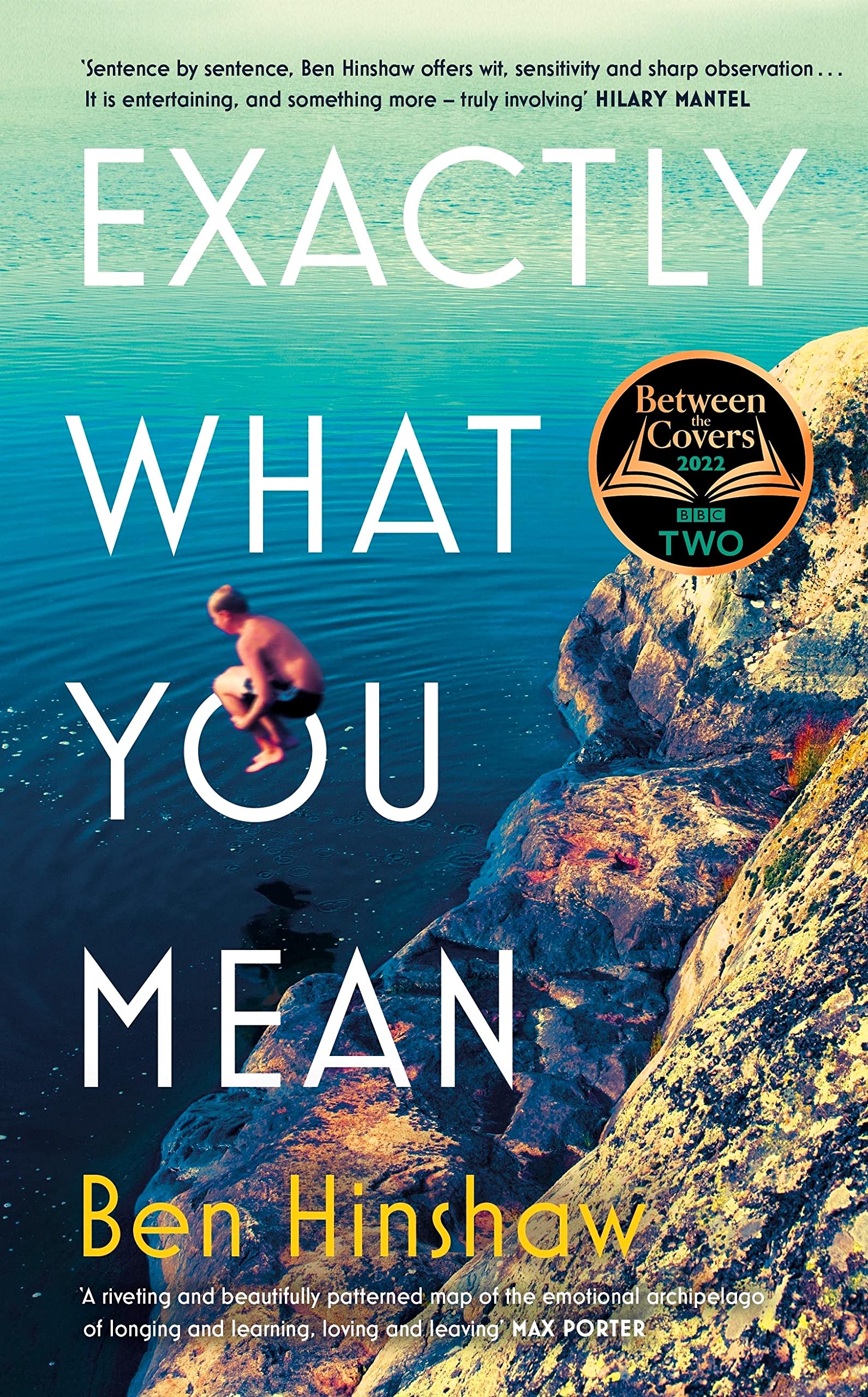 Exactly What You Mean Contemporary literature Books