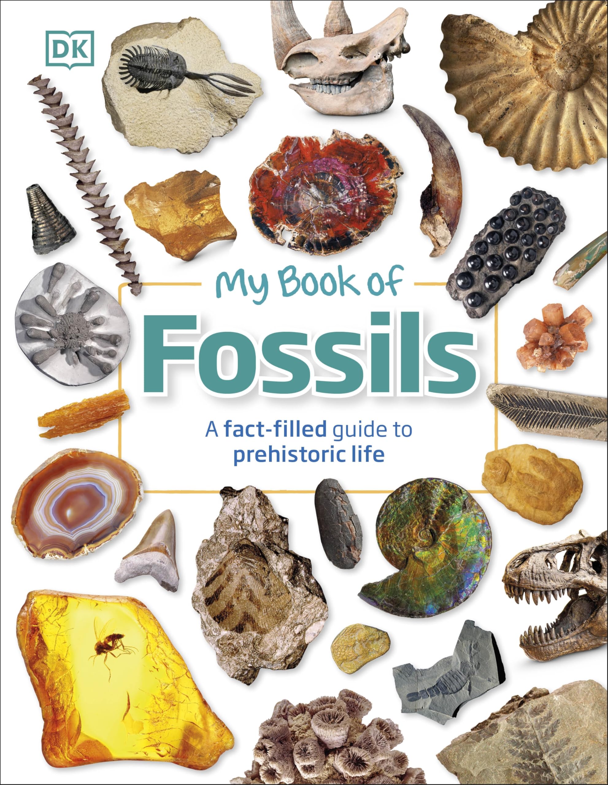 My Book of Fossils: A fact-filled guide to prehistoric life Leisure, Home & Garden