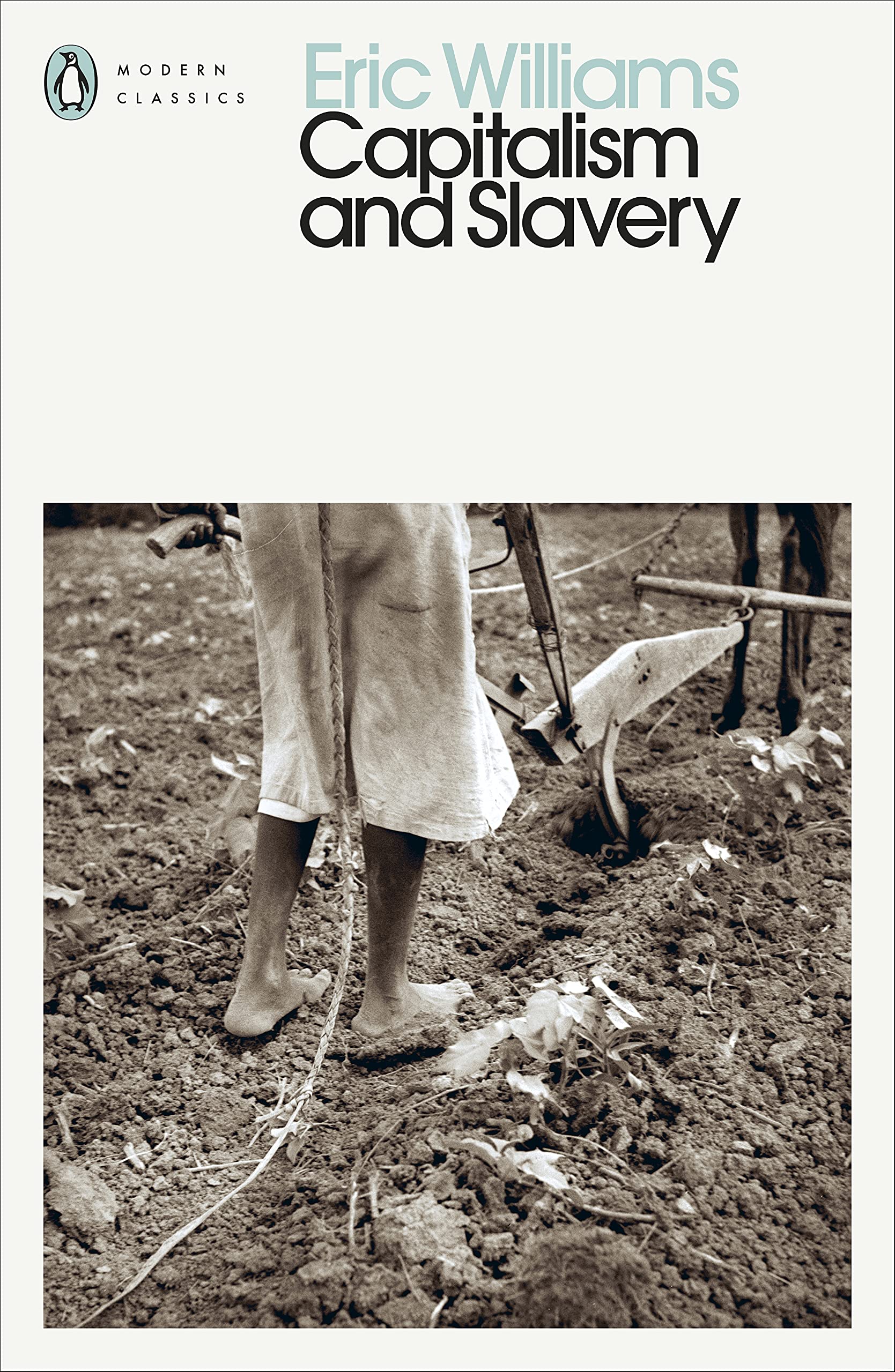 Capitalism and Slavery Books