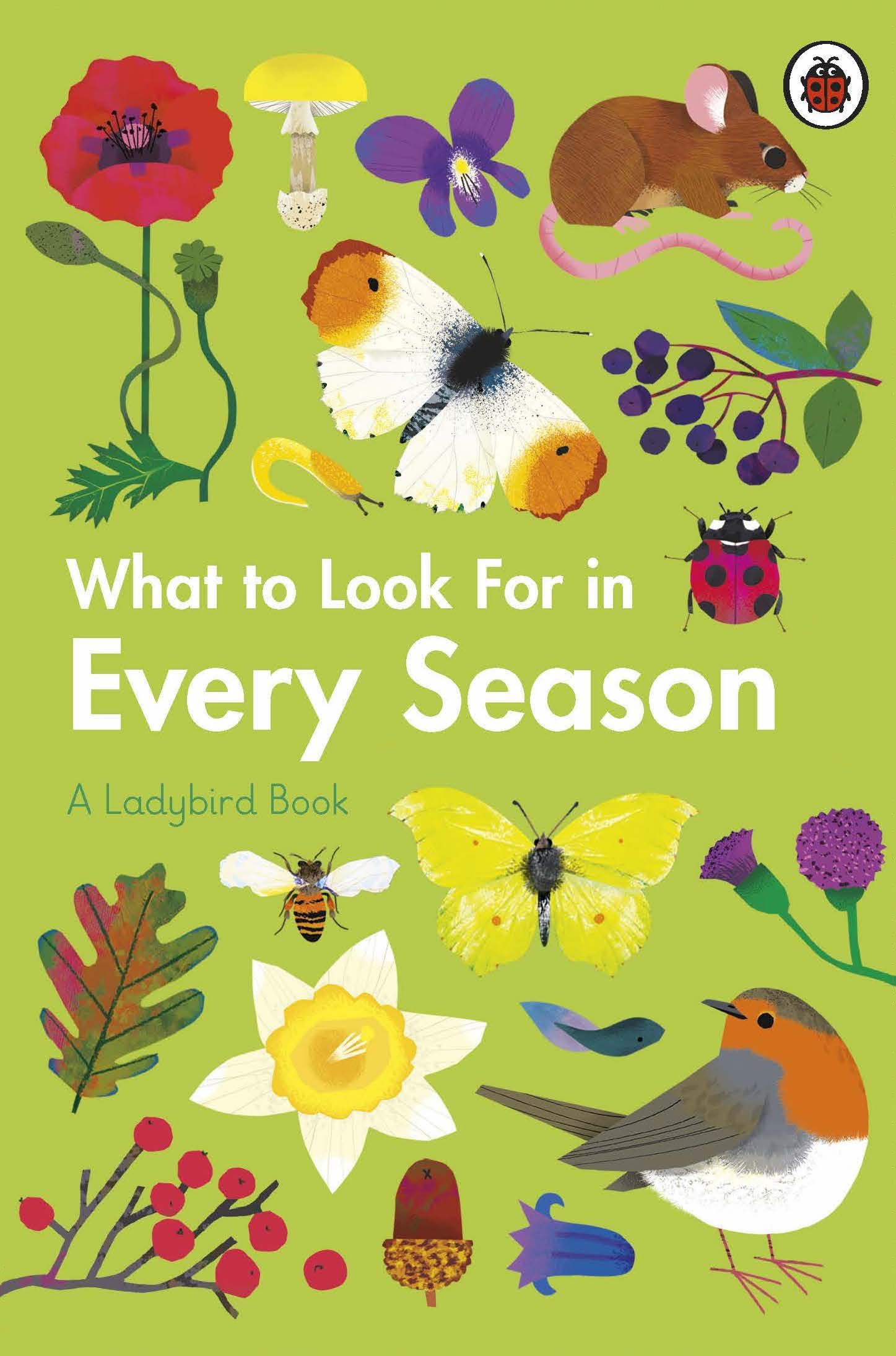 What to Look For in Every Season: A Ladybird Book Boxset book