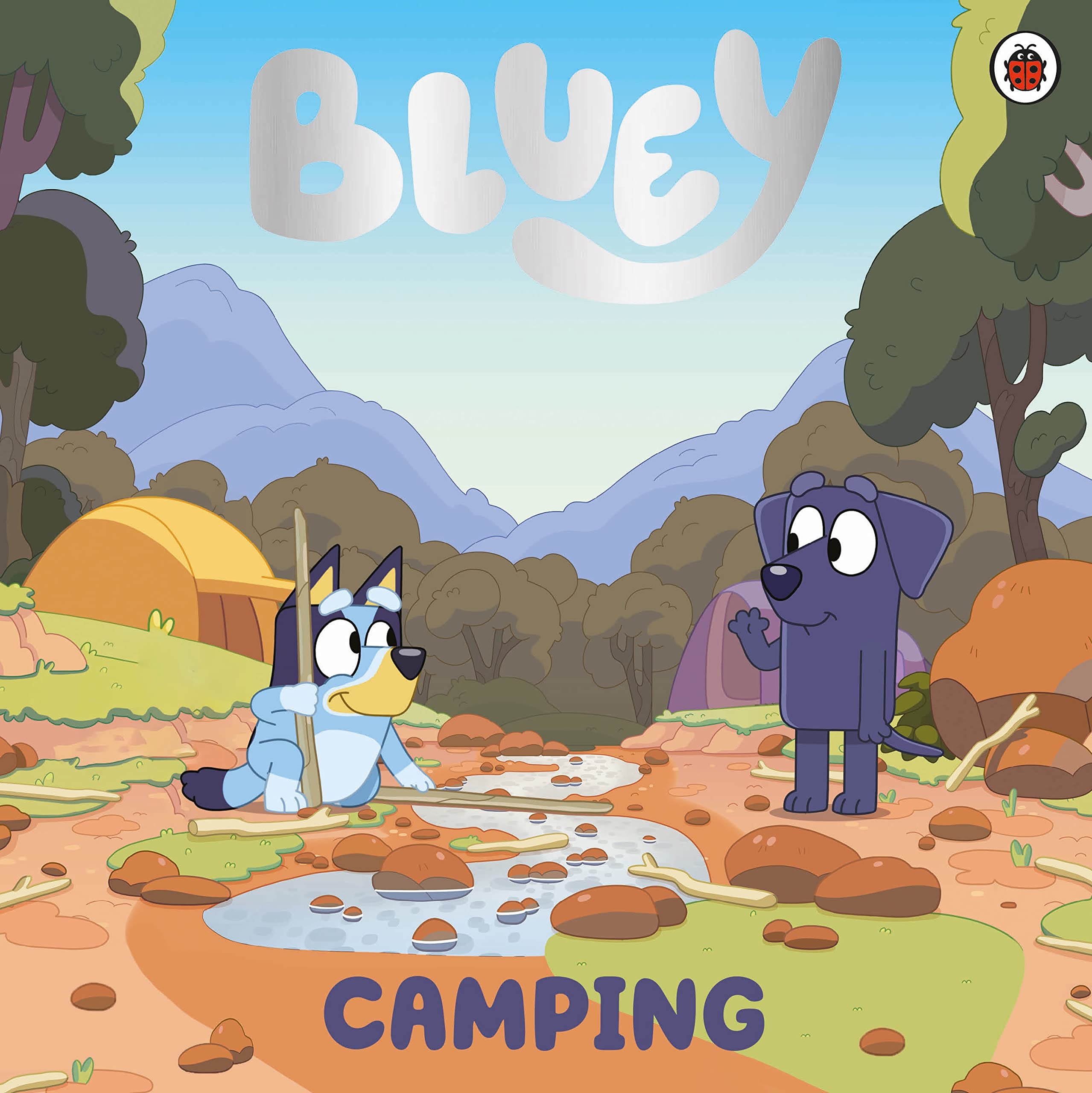 Bluey: Camping: Bilderbuch Non-fiction