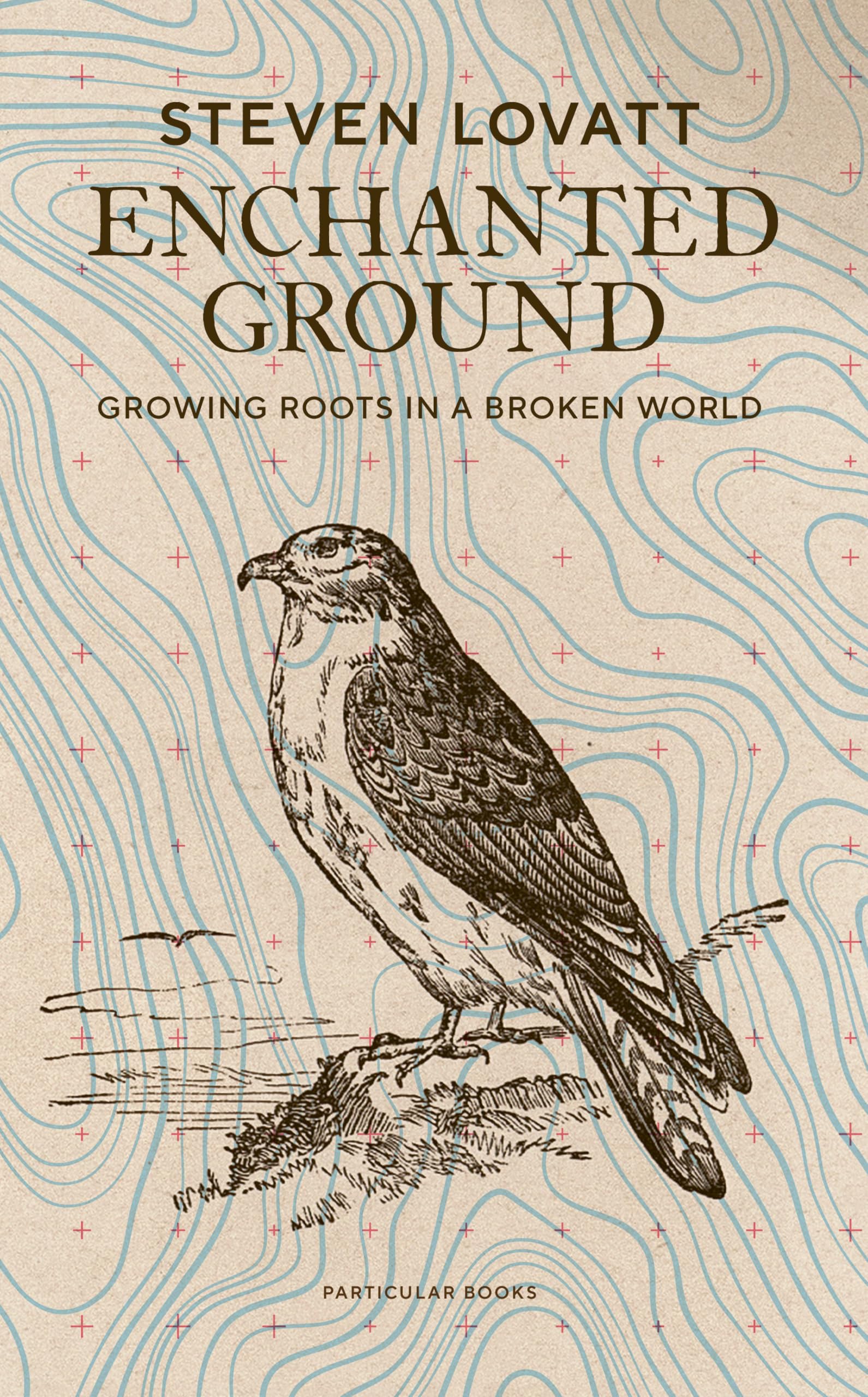 Enchanted Ground Art & Literature Books