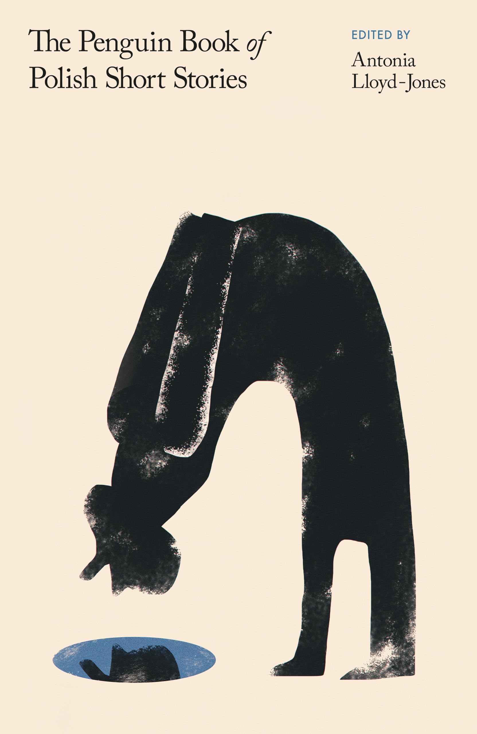 The Penguin Book of Polish Short Stories Contemporary literature