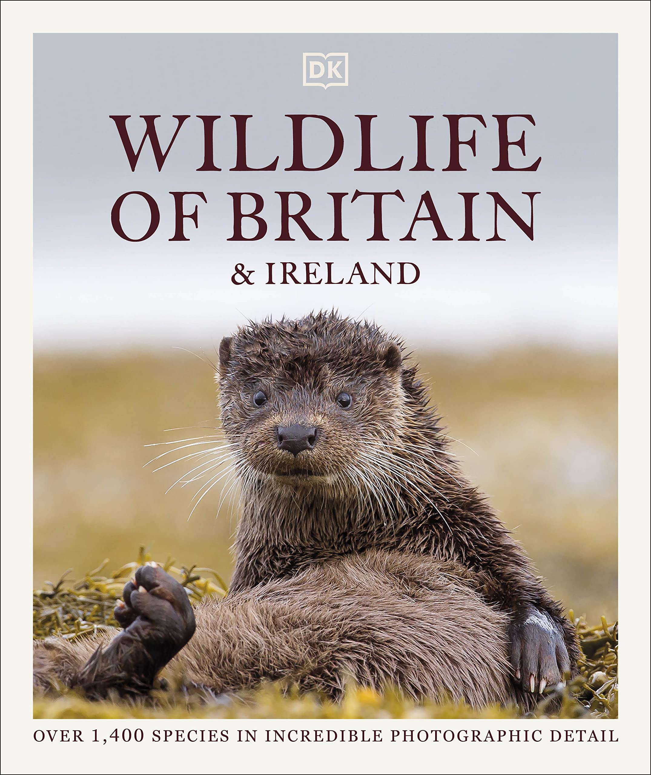 Wildlife of Britain and Ireland Mathematics