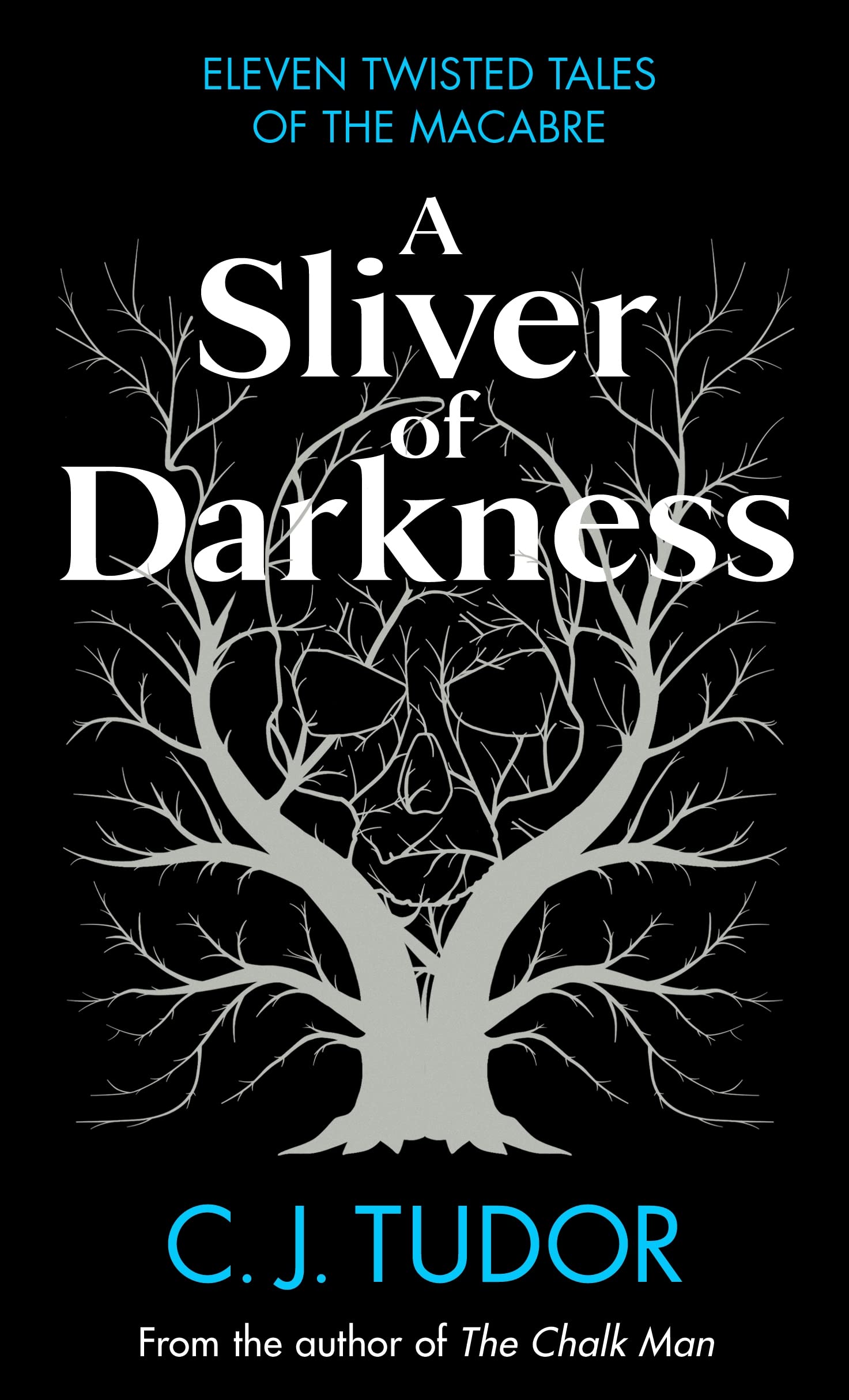Product Image: A Sliver of Darkness