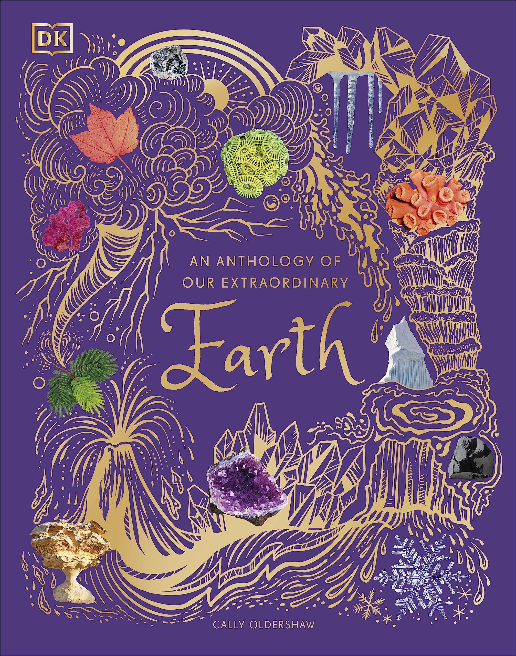 An Anthology of Our Extraordinary Earth (DK Children's Anthologies) Leisure, Home & Garden