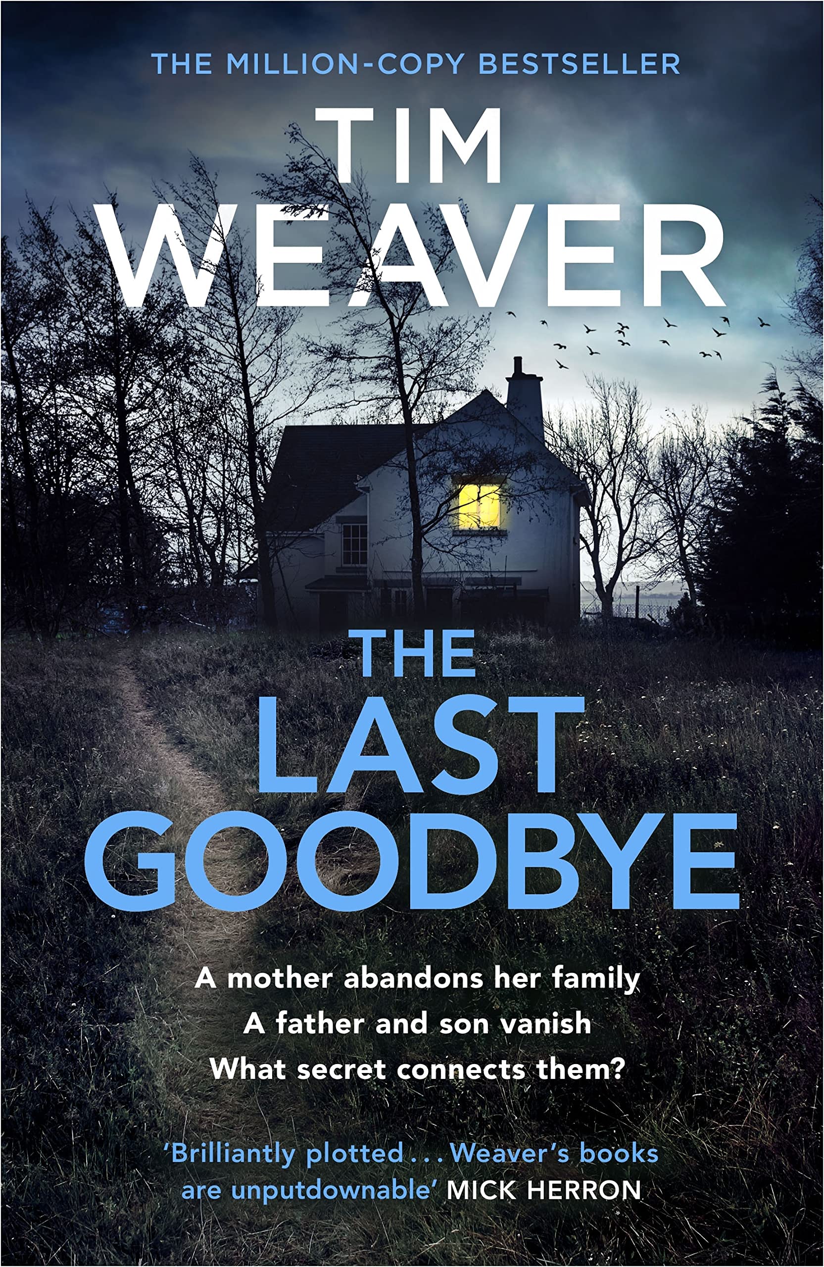 The Last Goodbye Contemporary literature