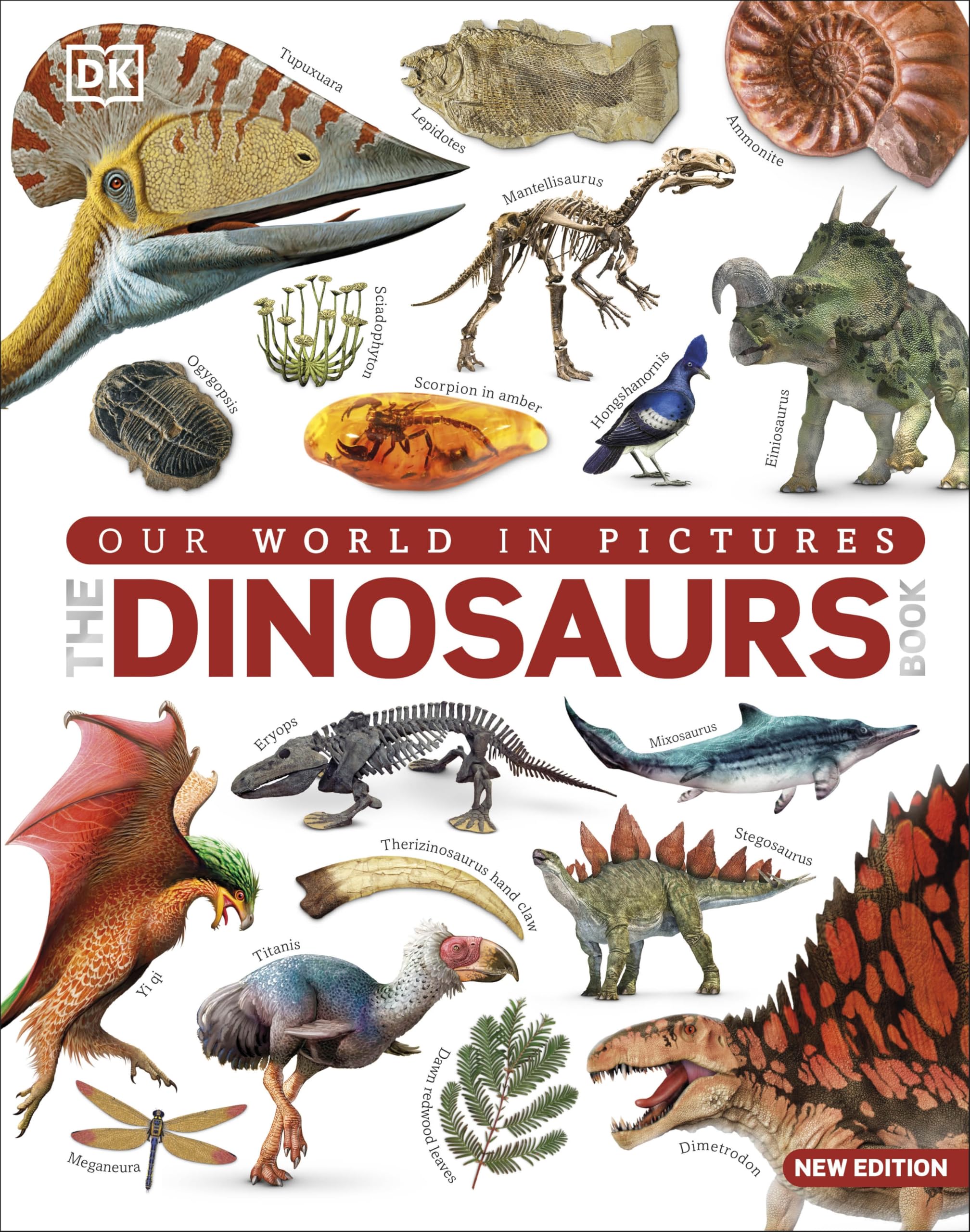 The Dinosaur Book: Our World in Pictures (DK Our World in Pictures) Mathematics