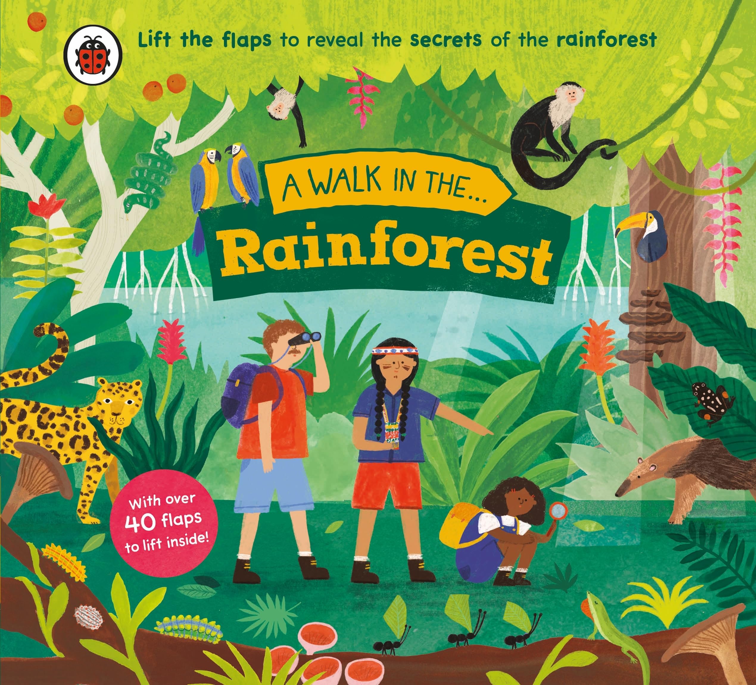 Product Image: A Walk in the Rainforest