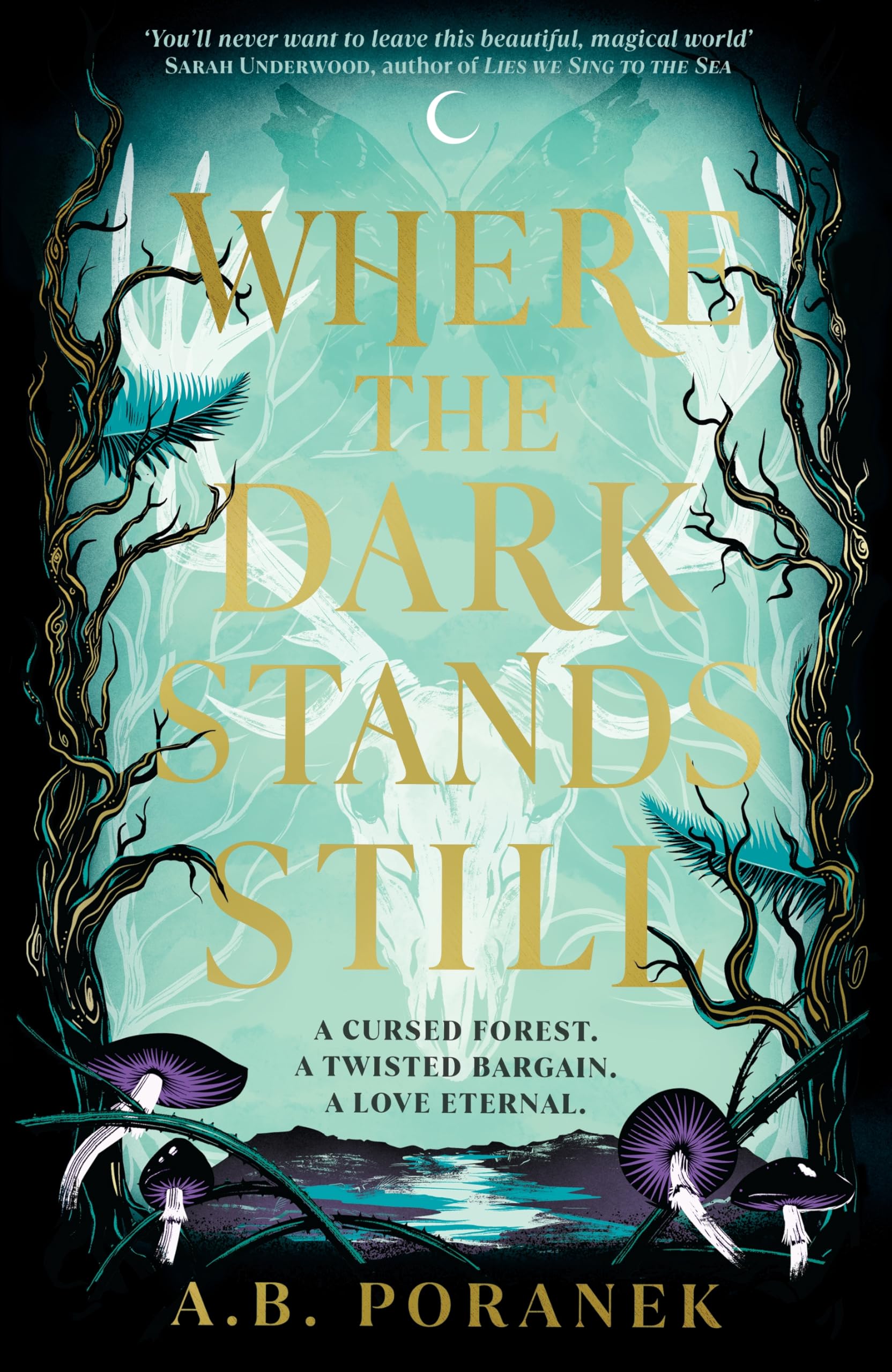 Product Image: Where the Dark Stands Still