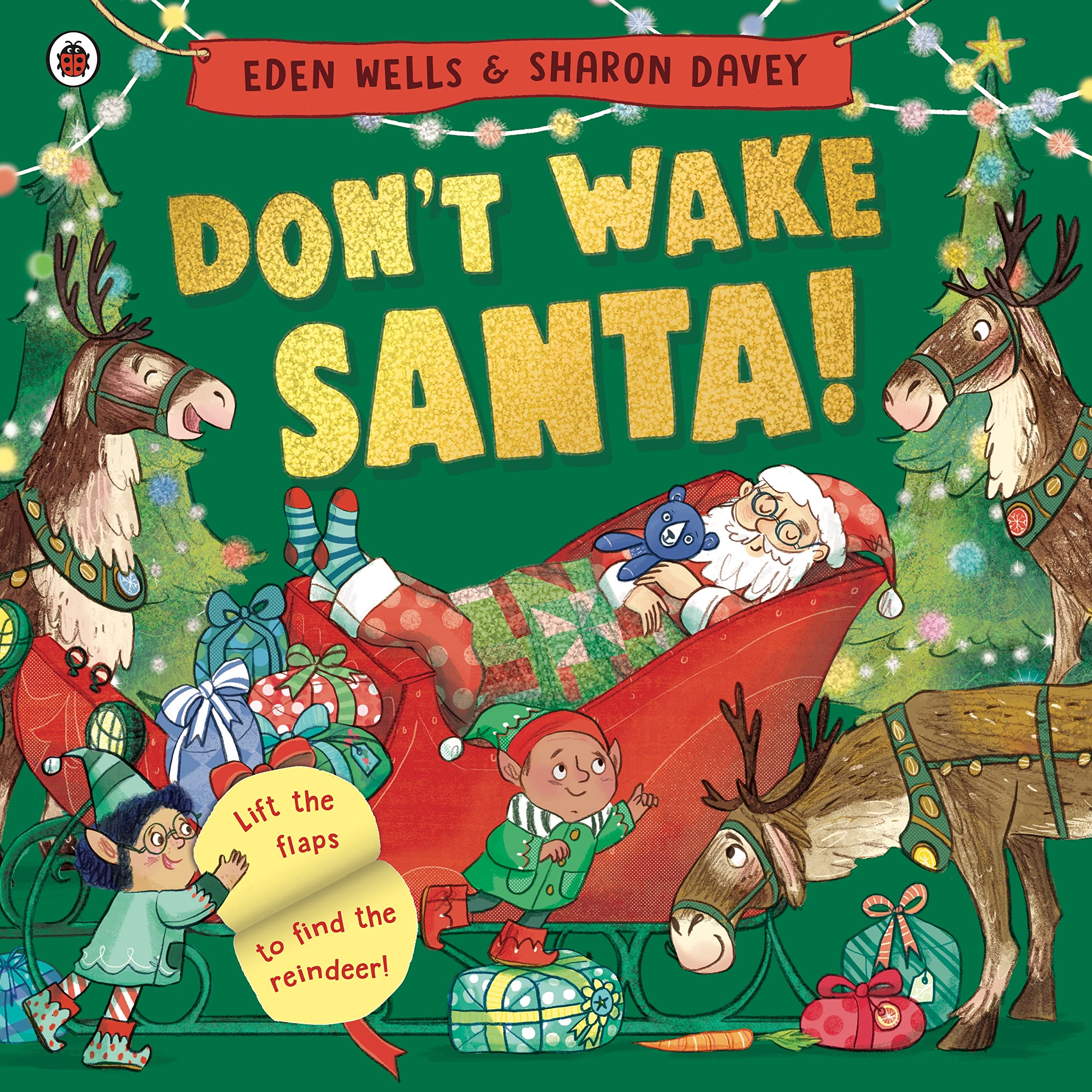 Don't Wake Santa Non-fiction books for kids