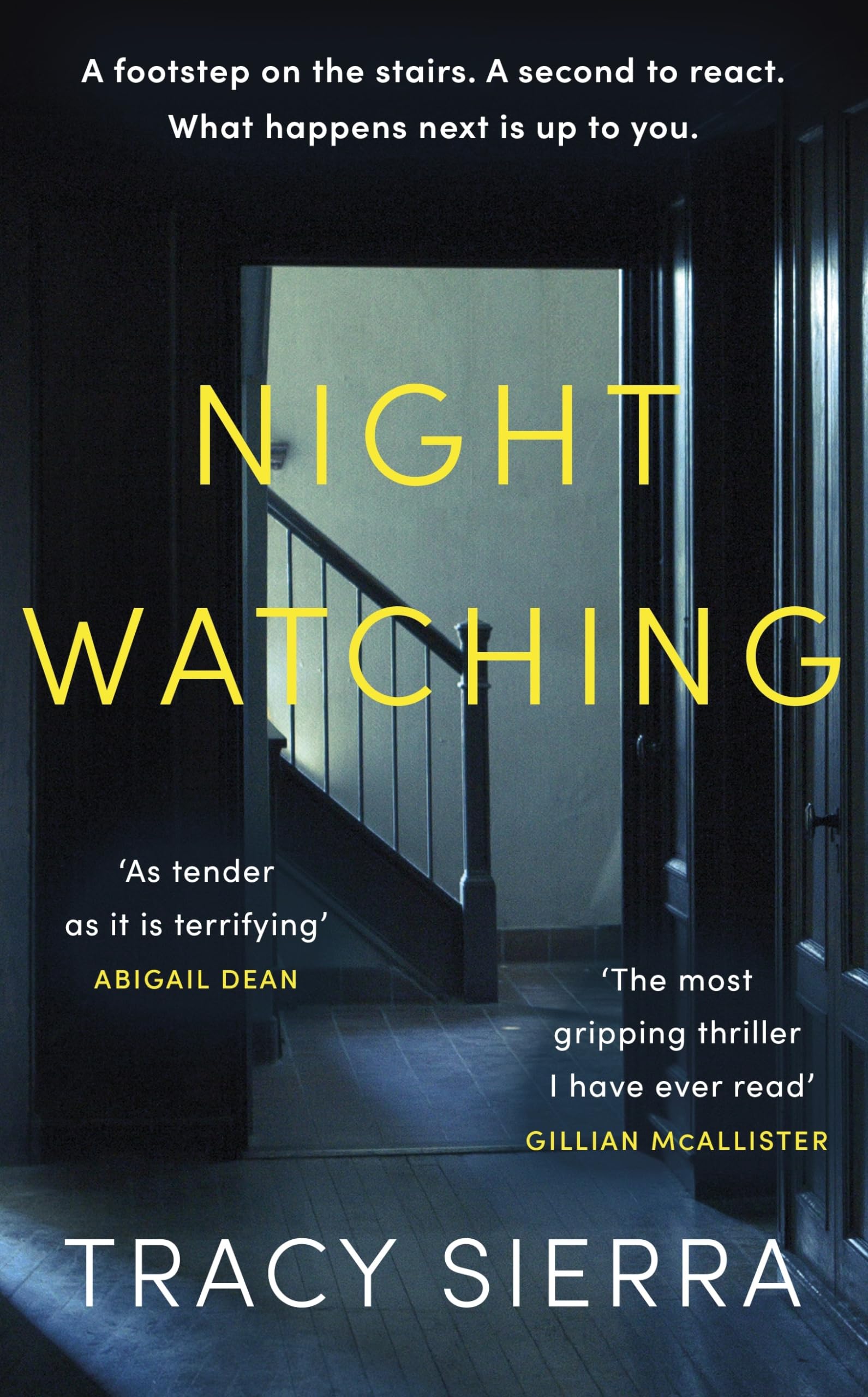 Nightwatching Contemporary literature