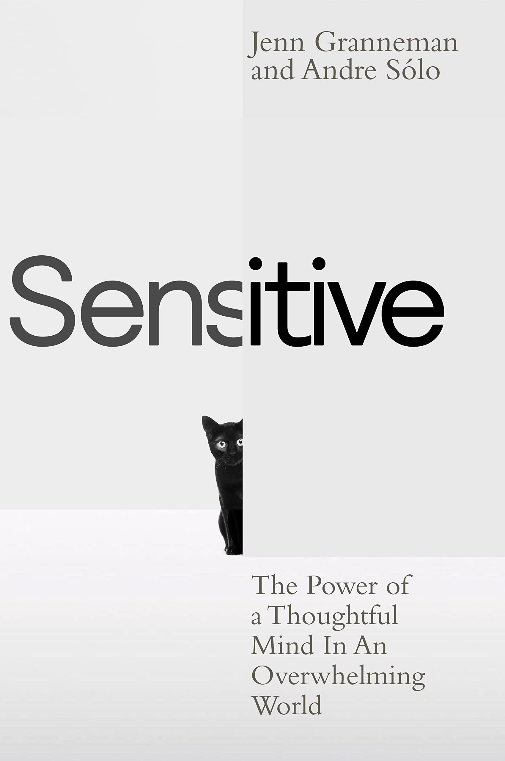 Sensitive Business, Finance & Career