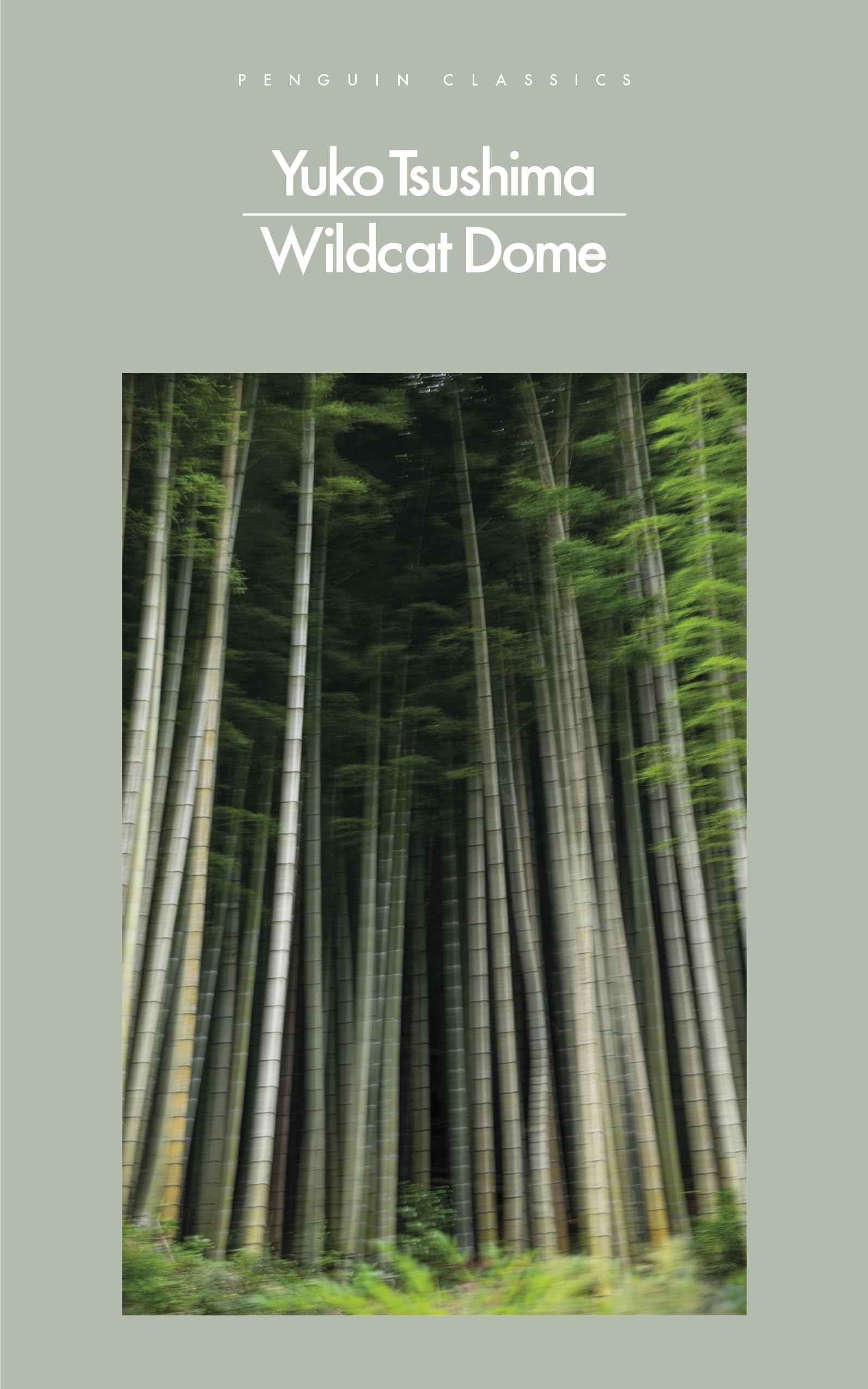 Wildcat Dome Contemporary literature