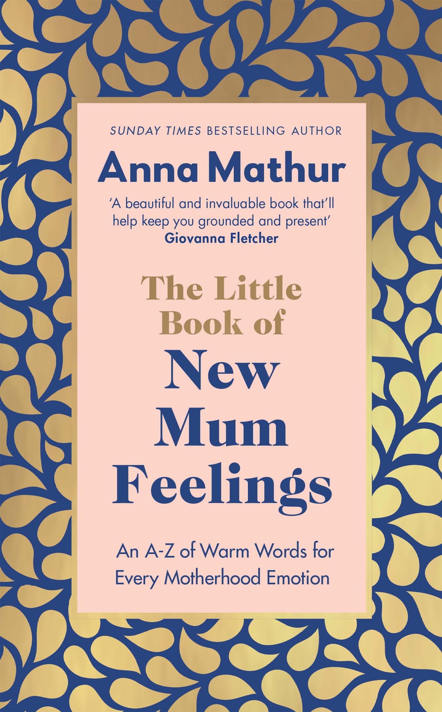 The Little Book of New Mum Feelings Parents & Children