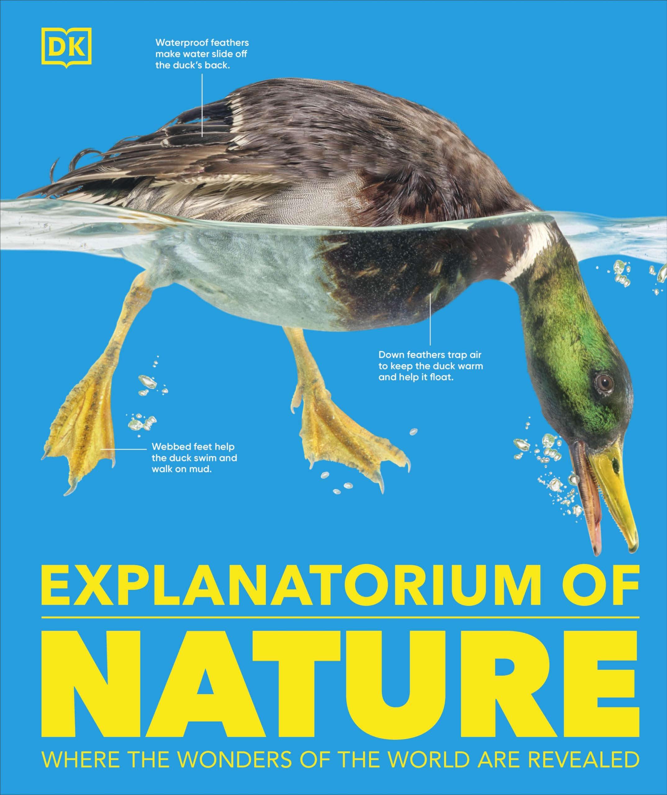 Explanatorium of Nature: Where the Wonders of the World are Revealed (DK Explanatorium) Non-fiction