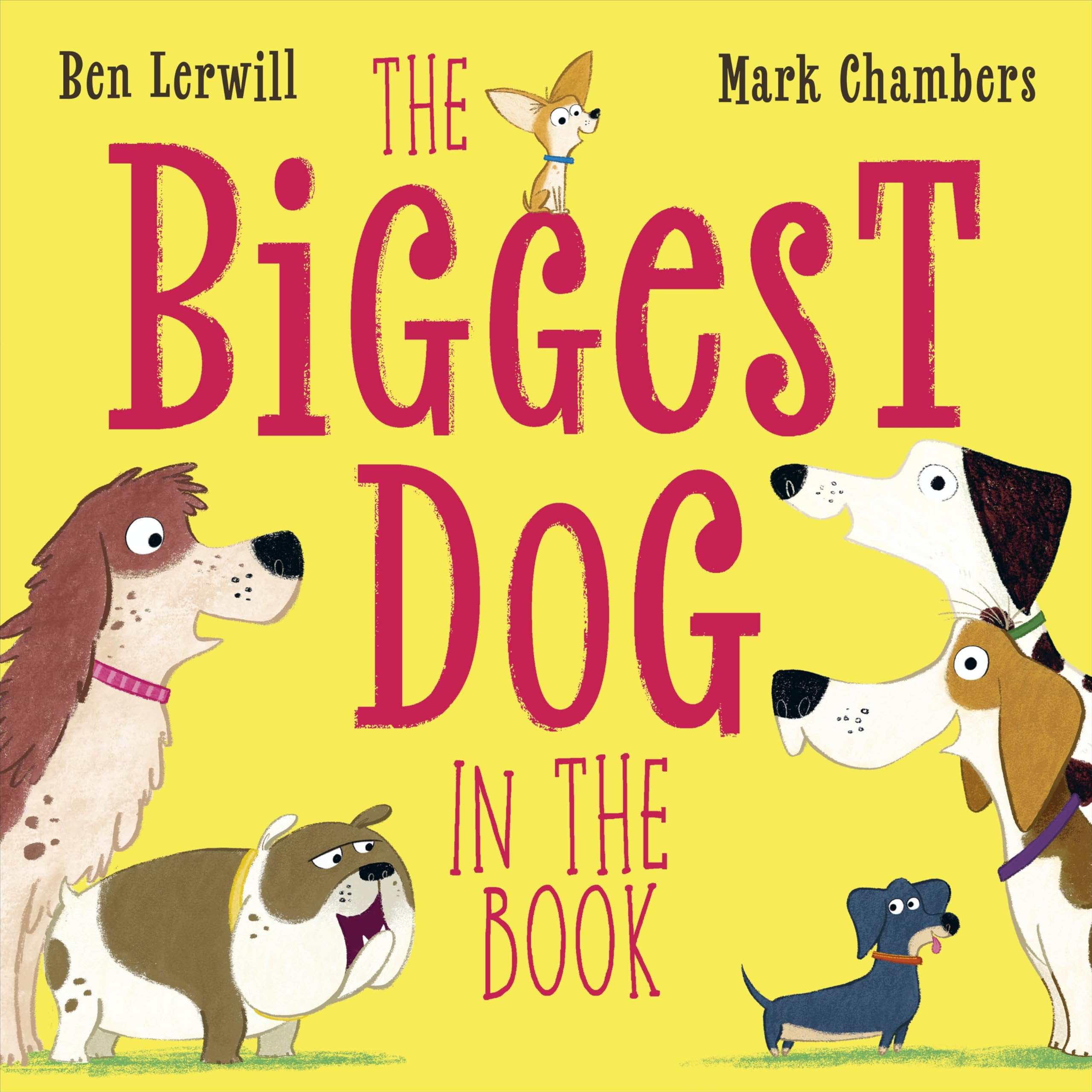 The Biggest Dog in the Book (Who's the Biggest?) Non-fiction