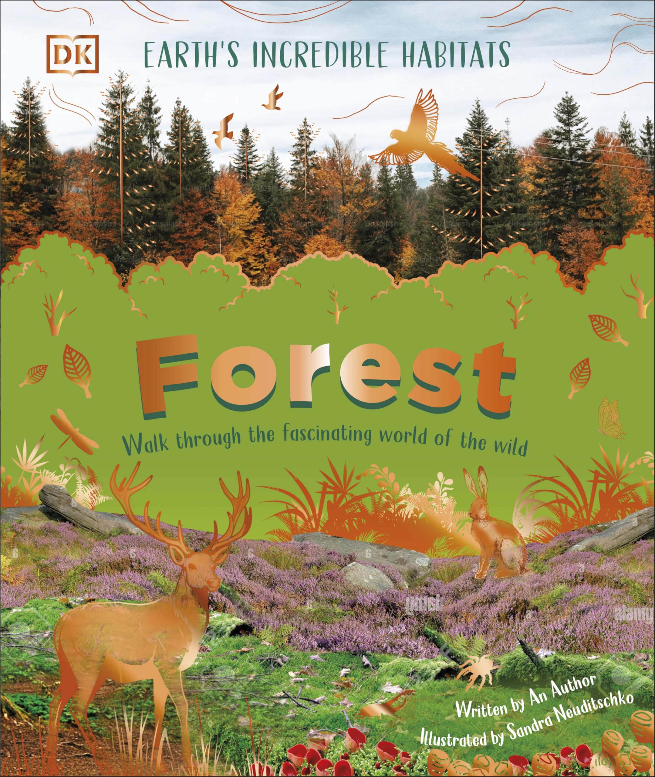 Forest: Walk Through the Fascinating World of the Wild (Earth's Incredible Habitats) Non-fiction