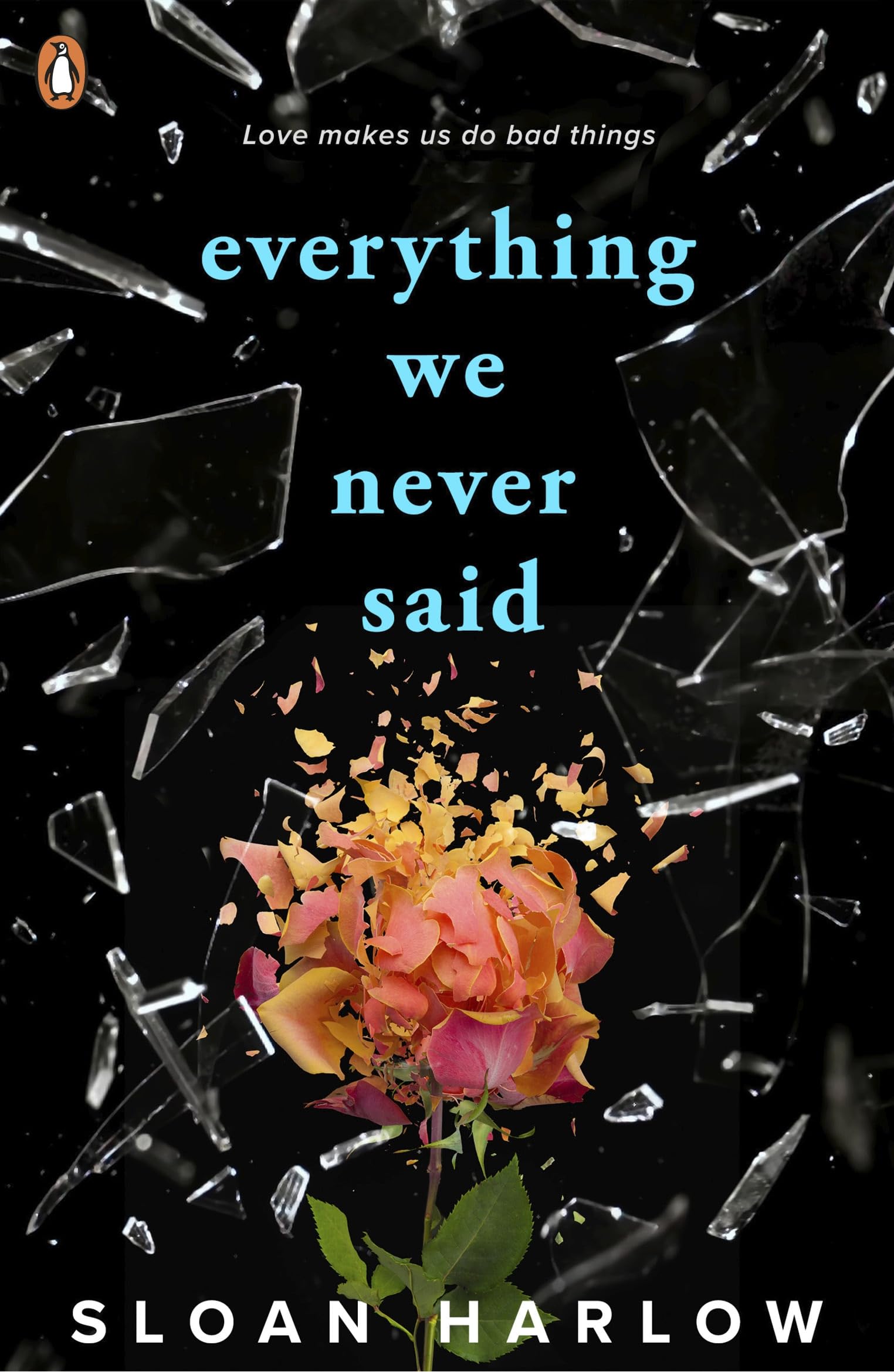 Everything We Never Said Contemporary literature Books