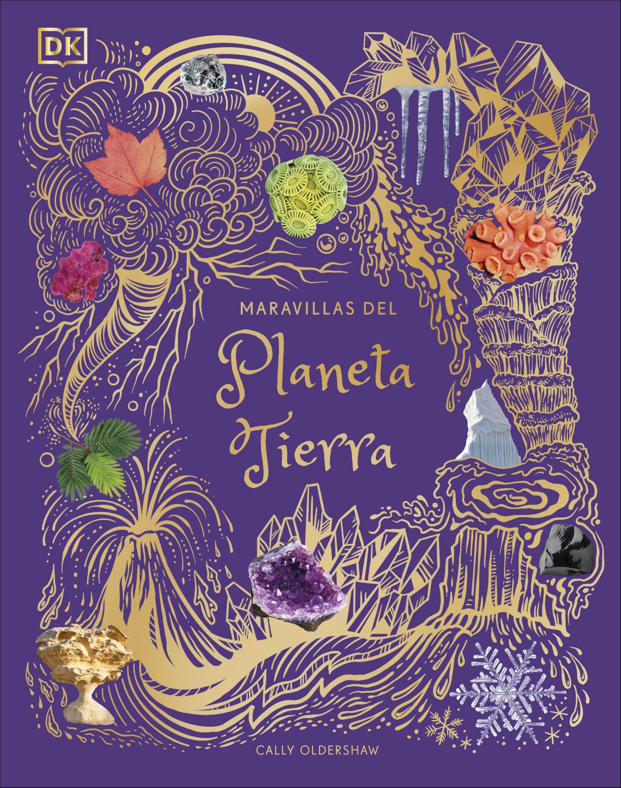 Maravillas del planeta Tierra (Planeta curioso) (DK Infantil) Leisure, Home & Garden