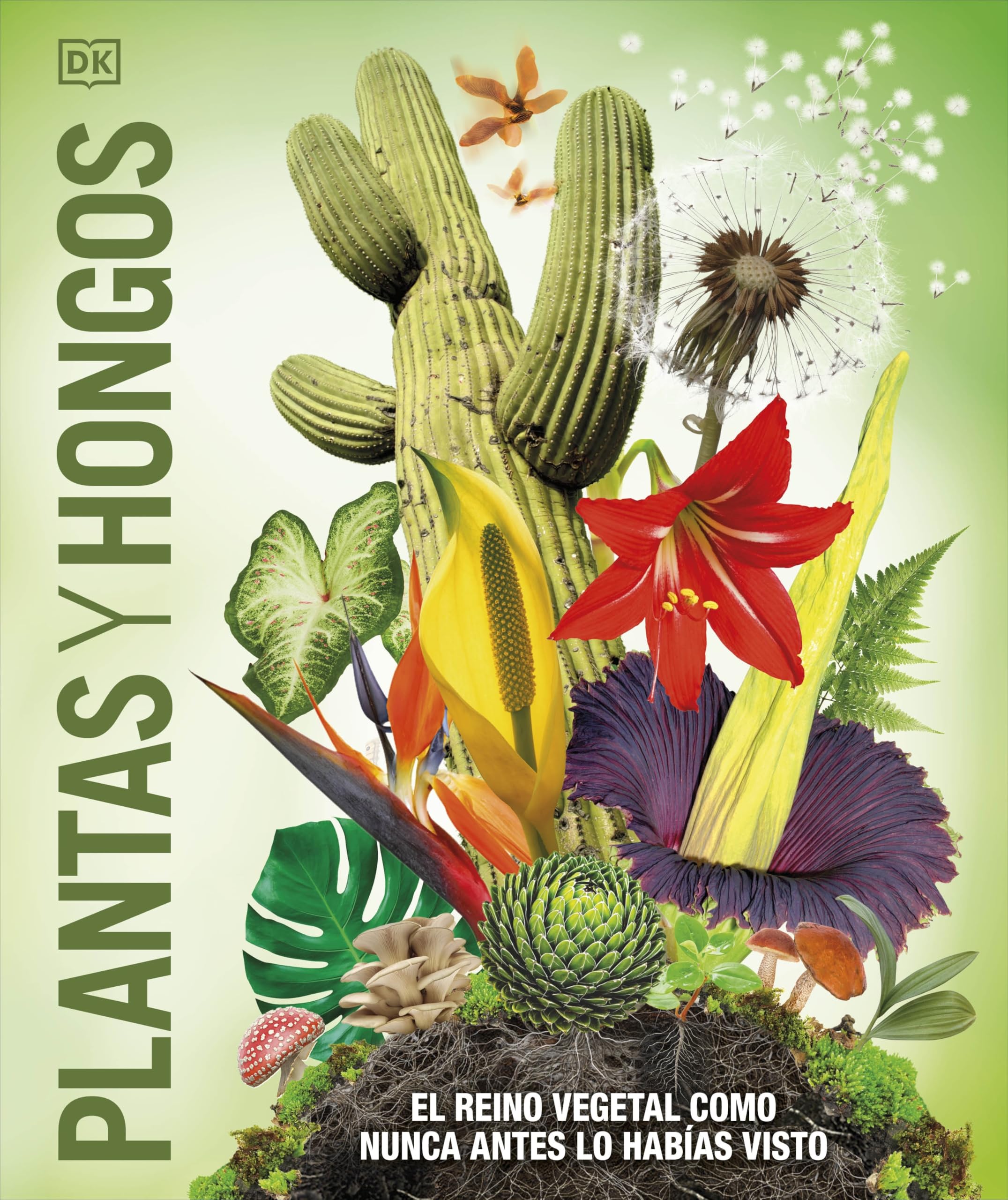 Plantas y hongos (Mundo 3D): El reino vegetal como nunca antes lo habías visto (Enciclopedia visual) Non-fiction
