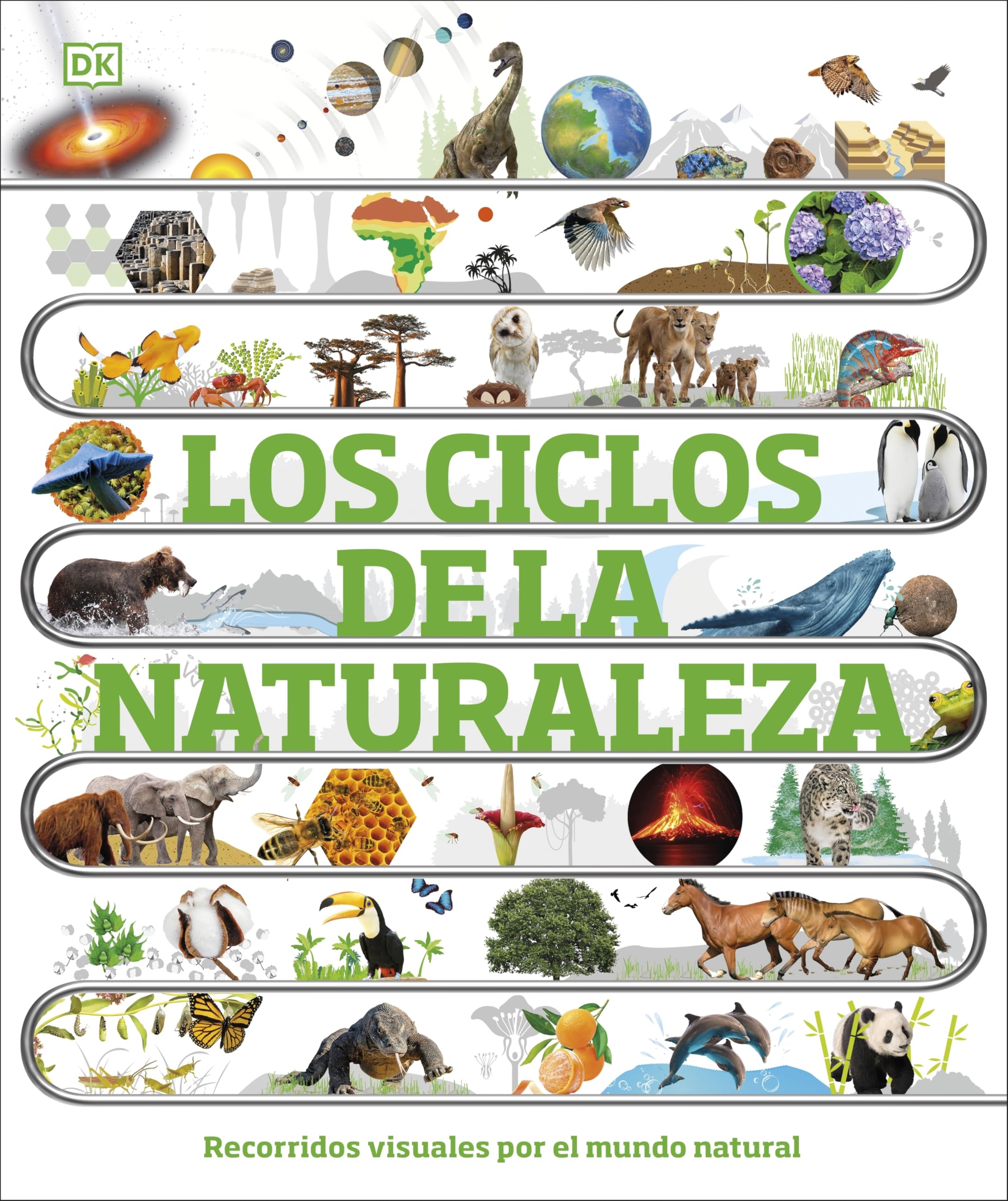 Los ciclos de la naturaleza: Recorridos visuales por el mundo natural (DK Infantil) Non-fiction
