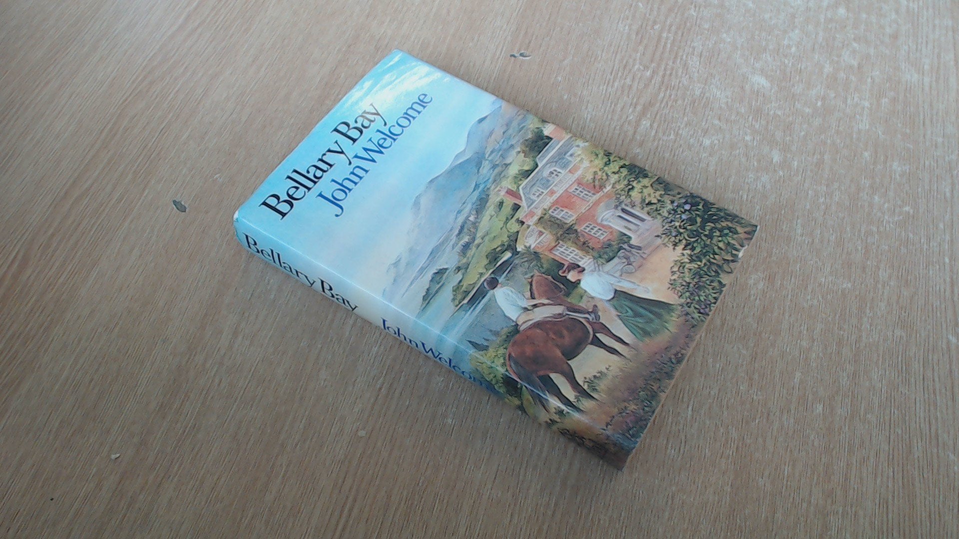 Bellary Bay book