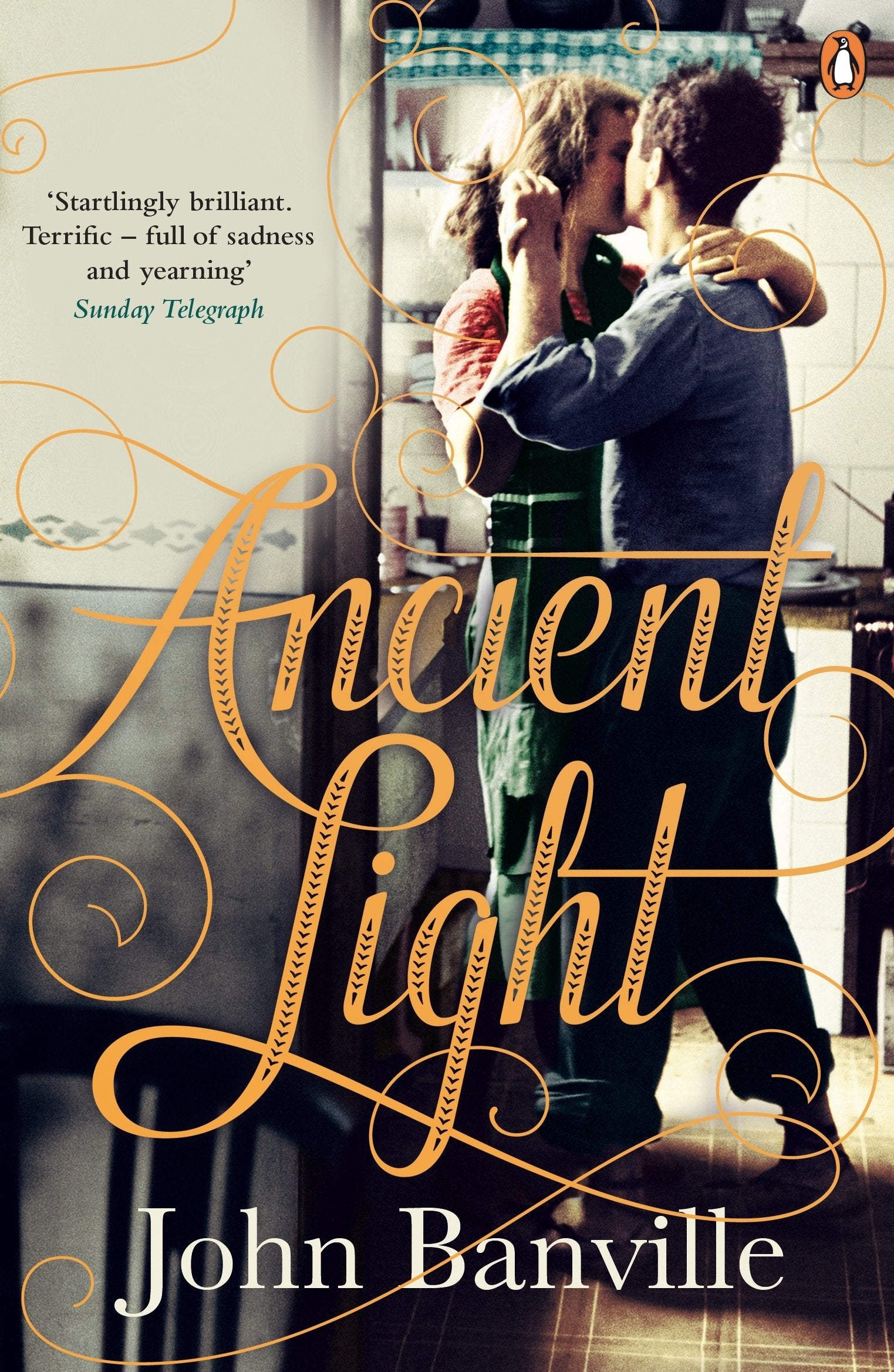 Ancient Light Contemporary literature