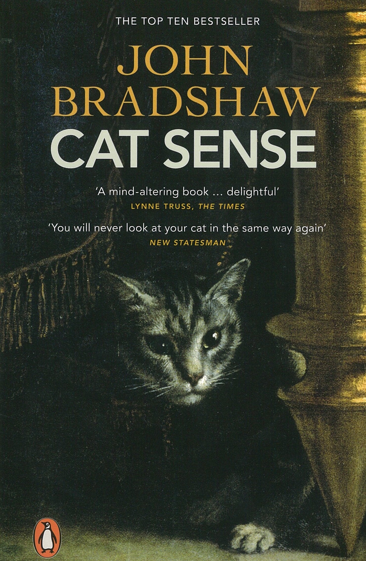 Cat Sense Film, Art & Culture