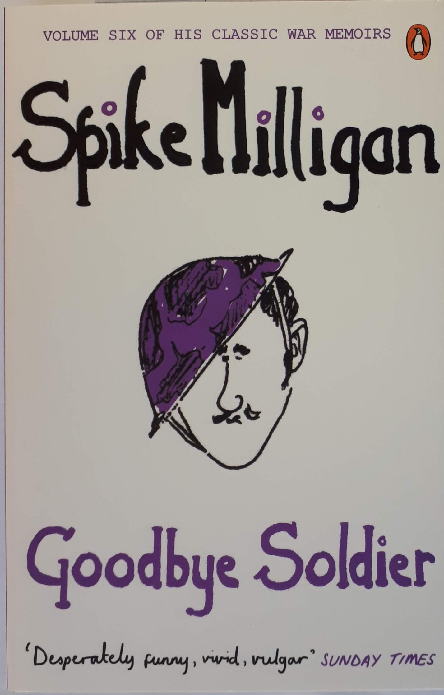 Goodbye Soldier Essays & Short Stories