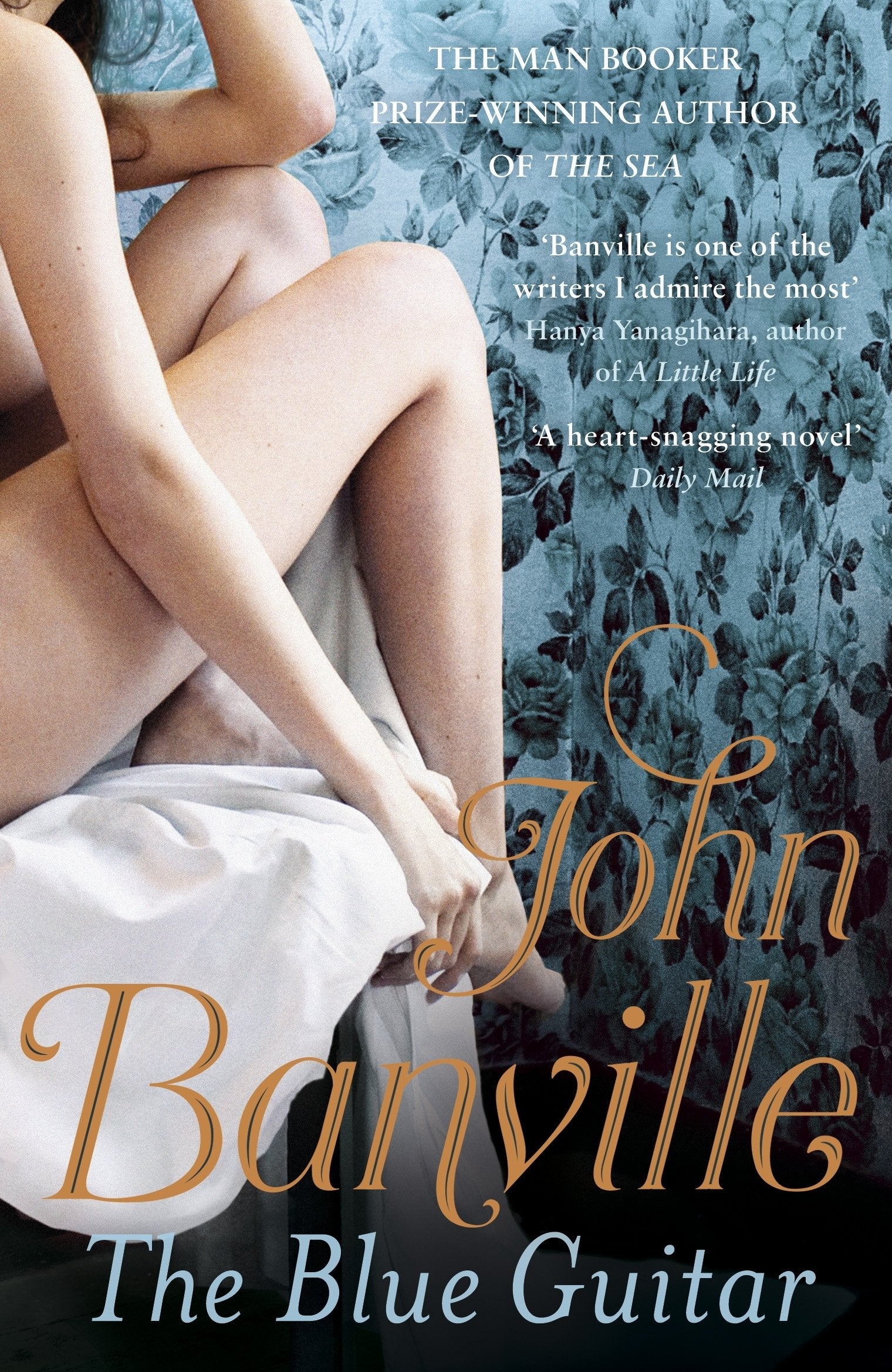 The Blue Guitar: John Banville Contemporary literature