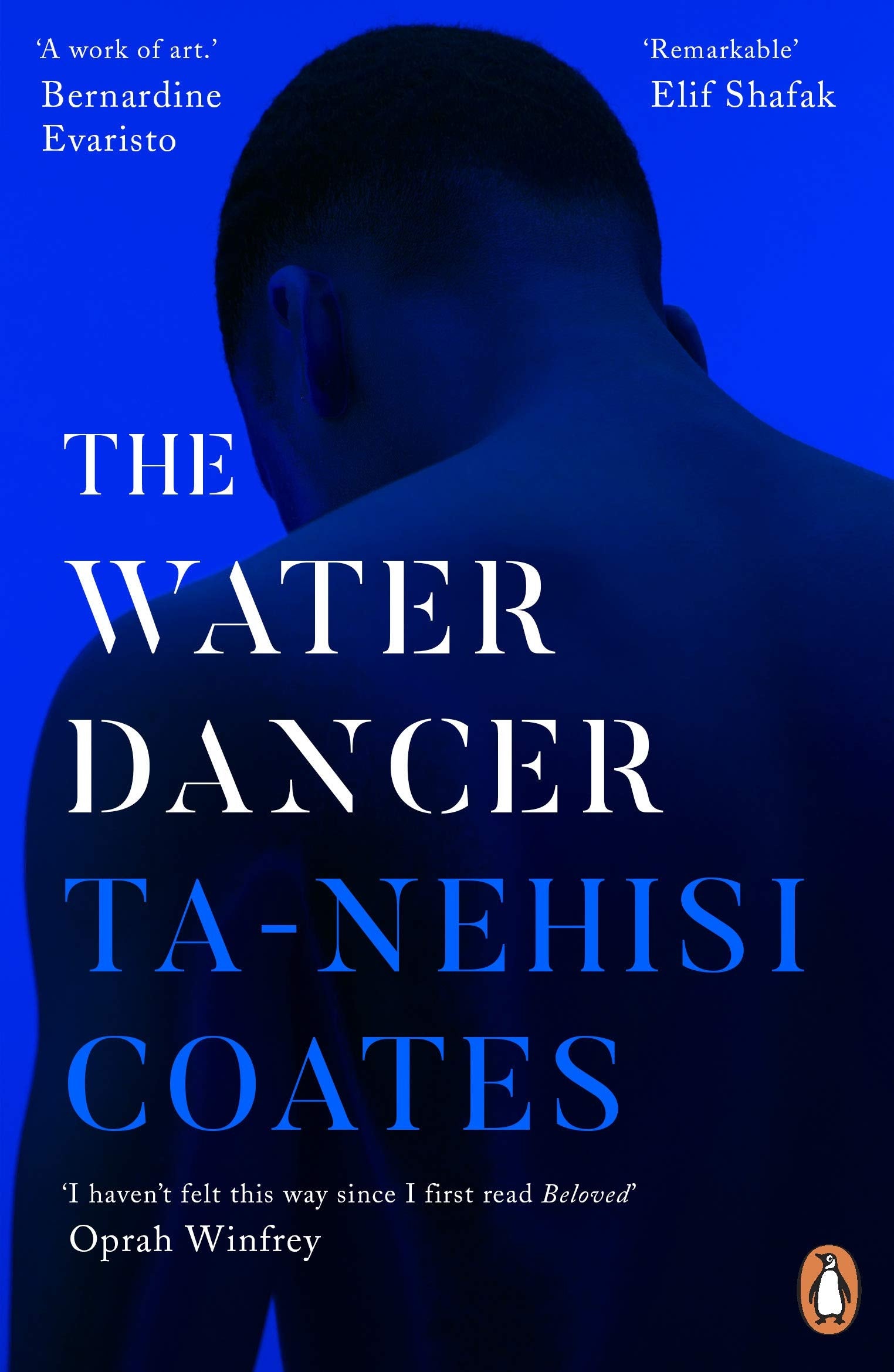 Product Image: The Water Dancer