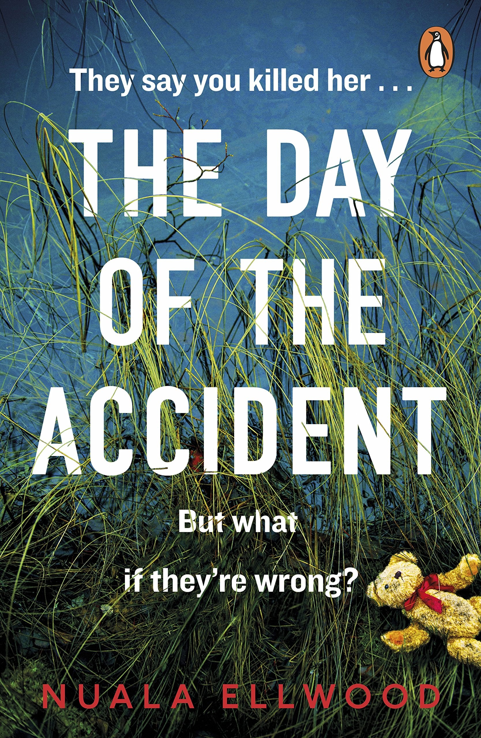 Day of the Accident Books
