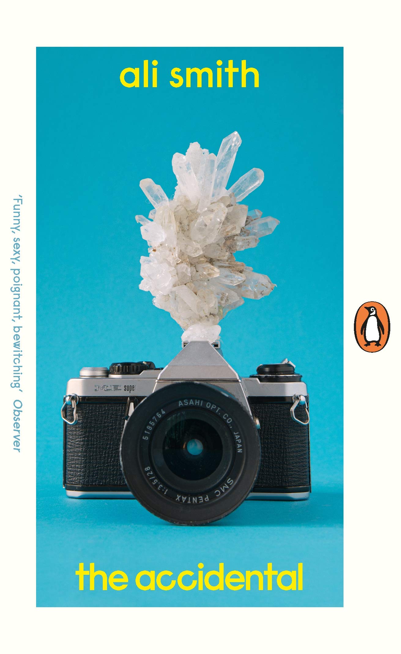 The Accidental Contemporary literature