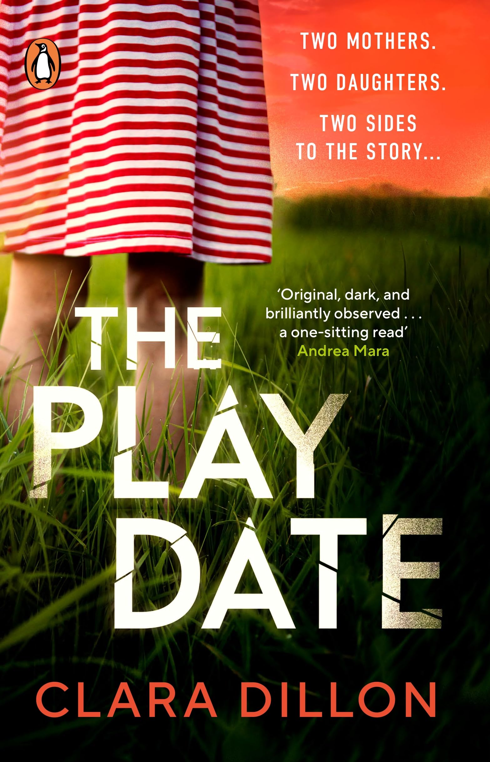 The Playdate: A startling and deliciously pitch-dark story from leafy suburbia book