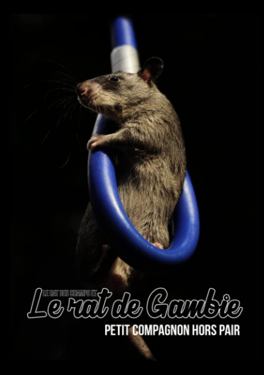 Le rat des champs et le rat de Gambie book