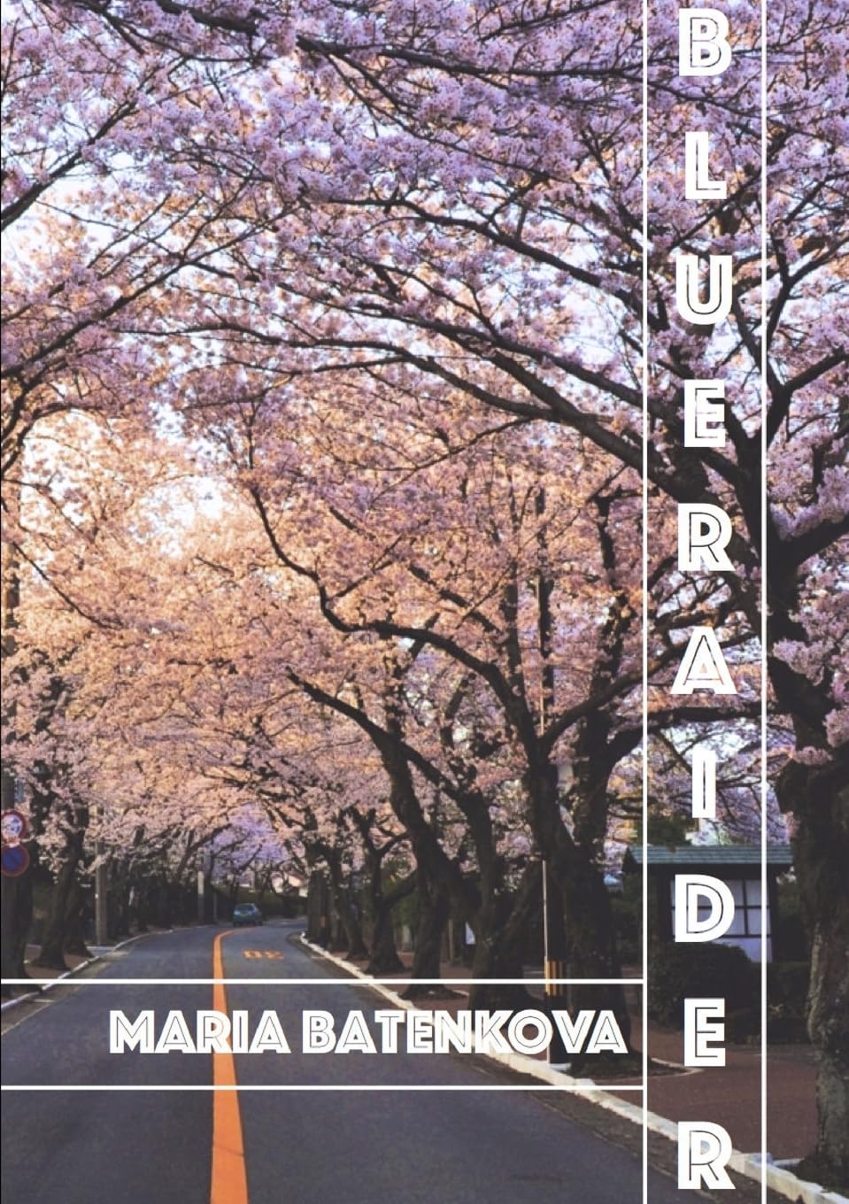 Blue Raider Contemporary literature