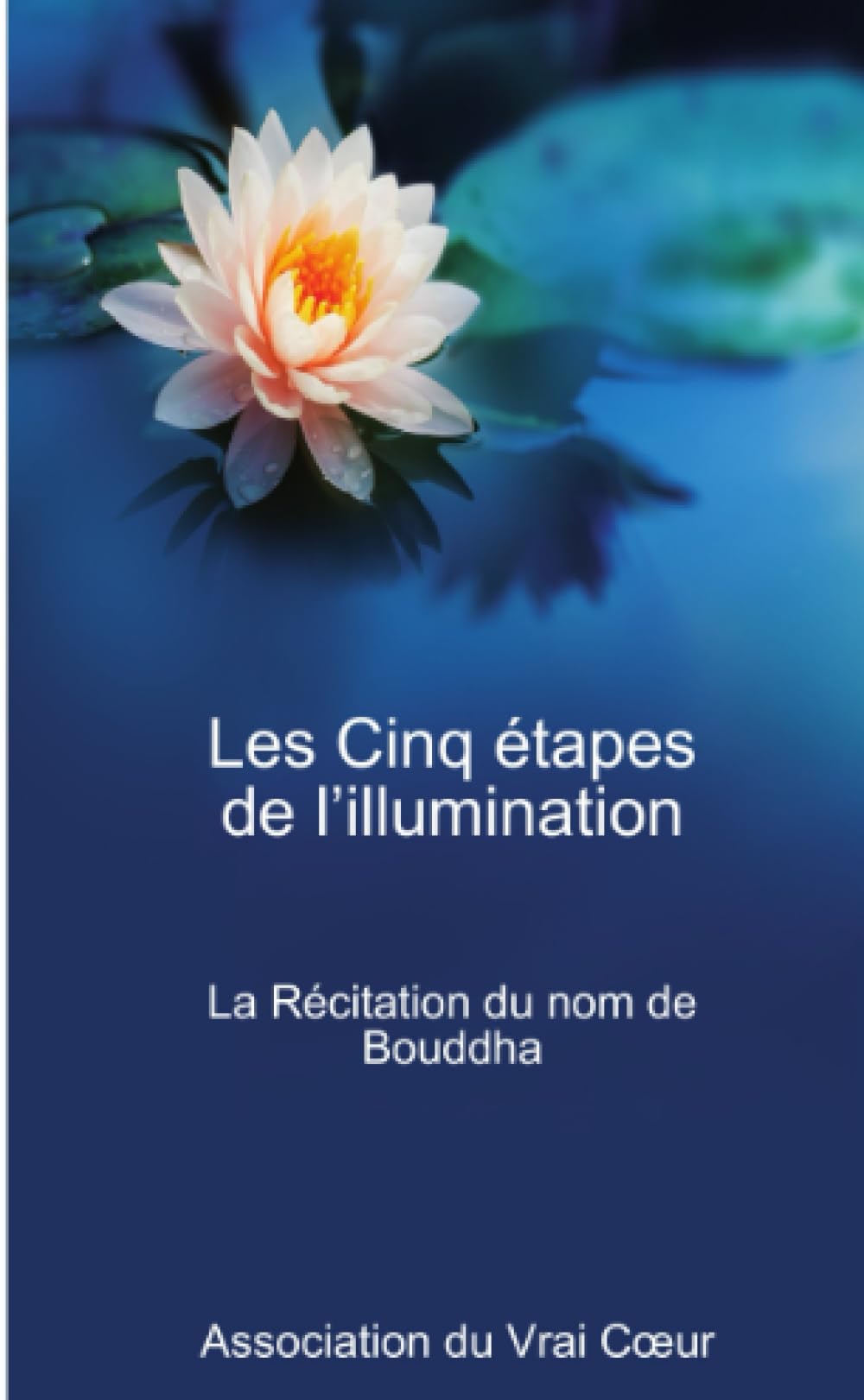 Les Cinq étapes de l'illumination Religion & Esotericism