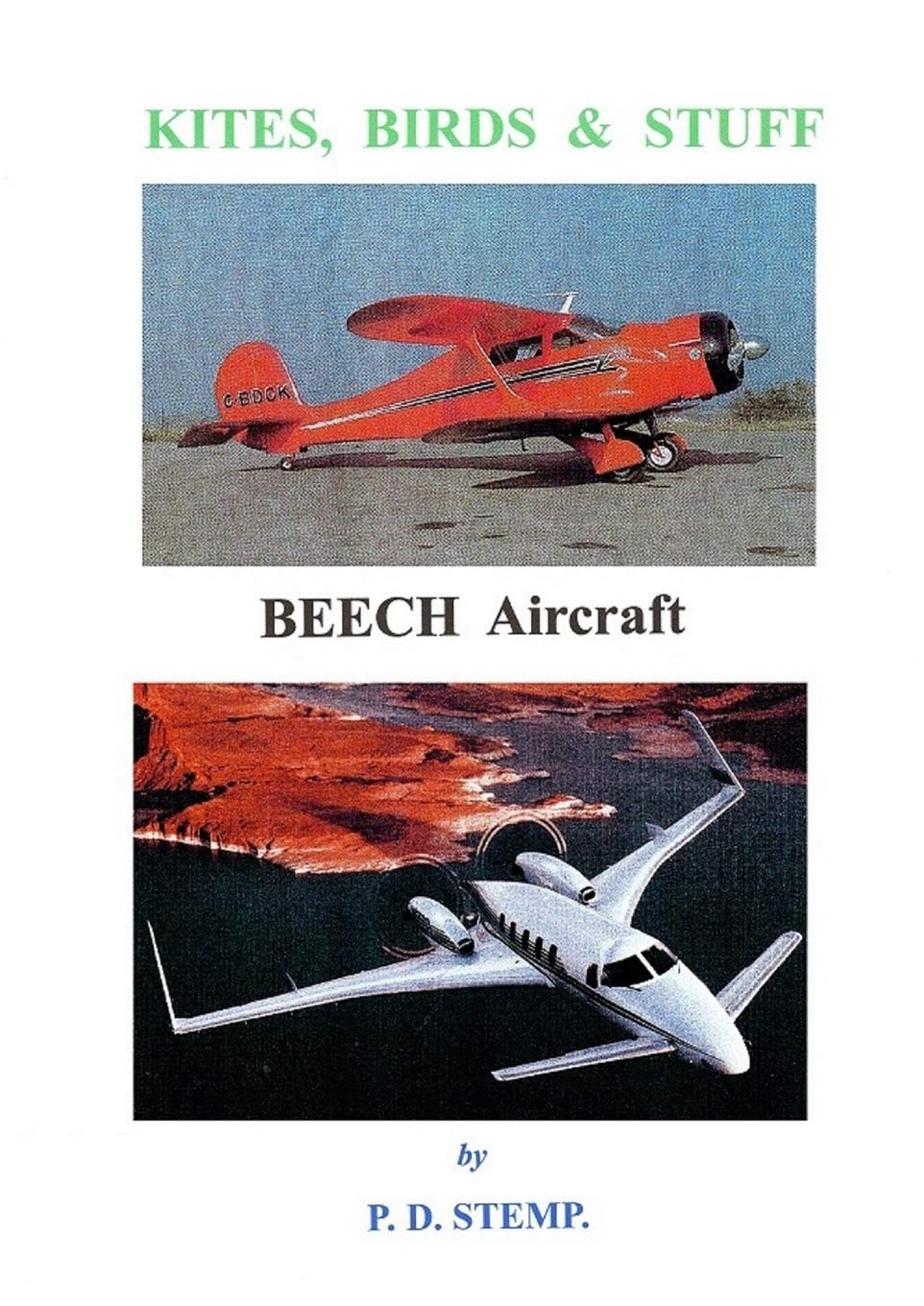 Product Image: Kites, Birds & Stuff - BEECH Aircraft